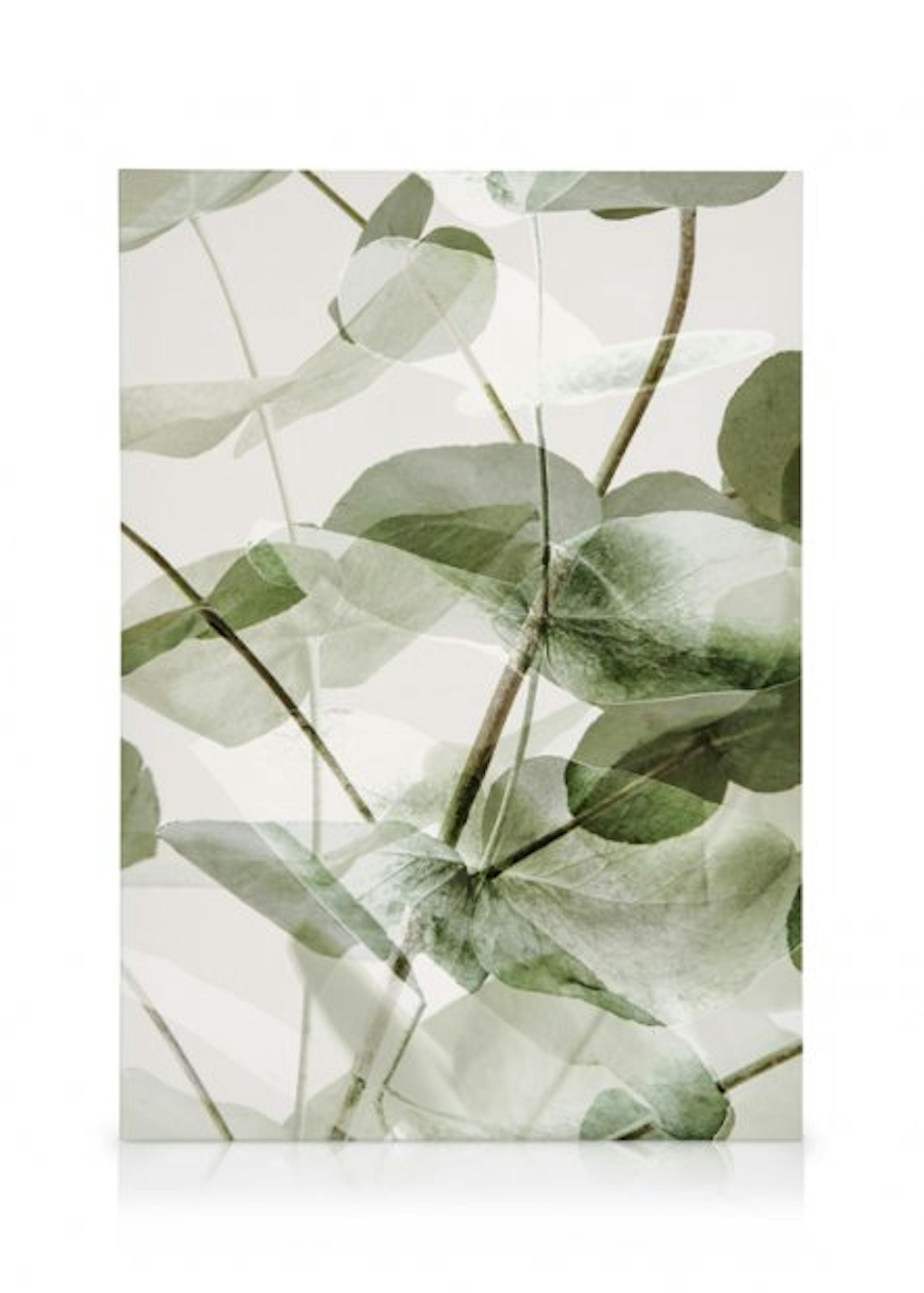 Eucalyptus Shades Canvas Duo