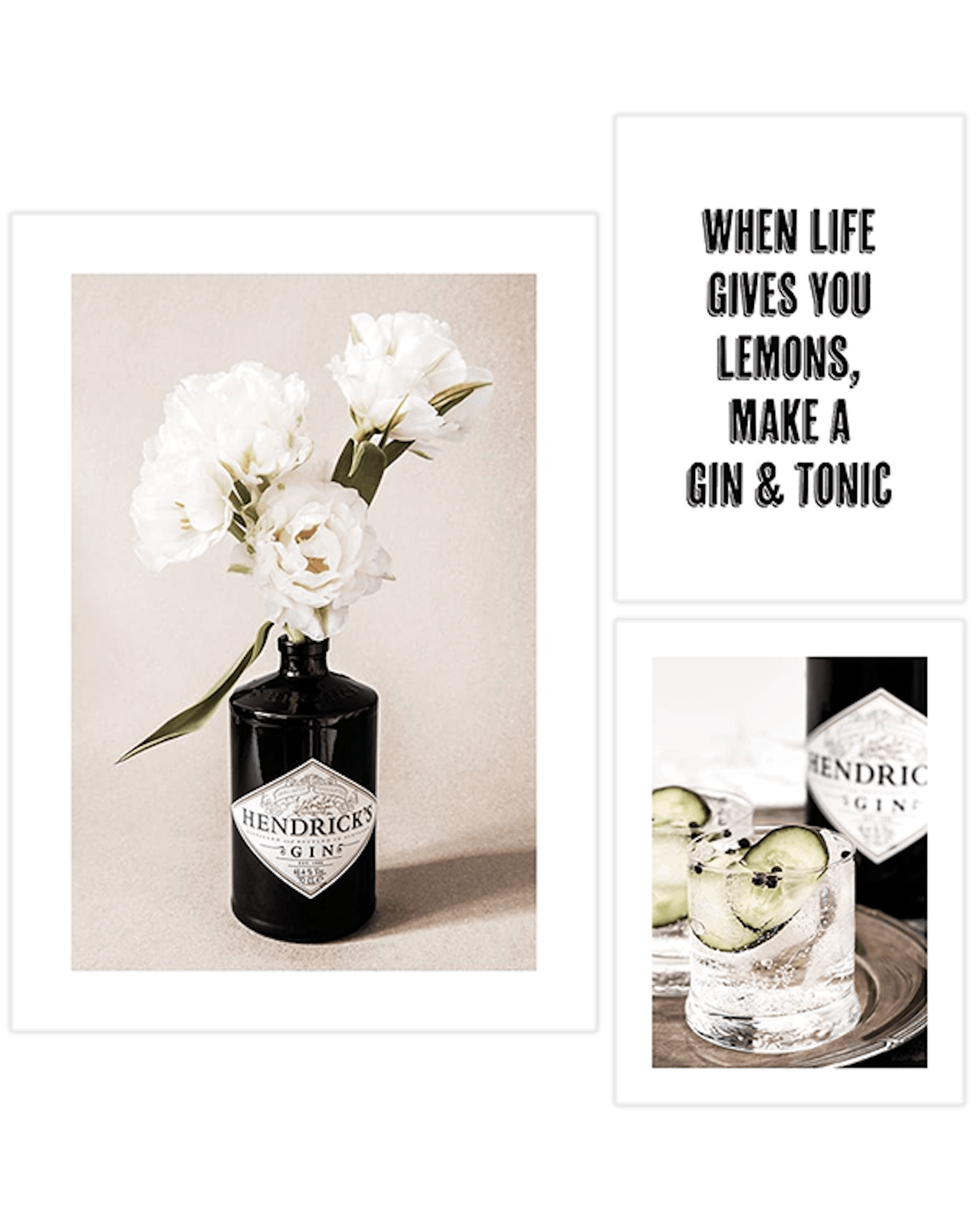 Gin and Flowers Trio Lot de posters