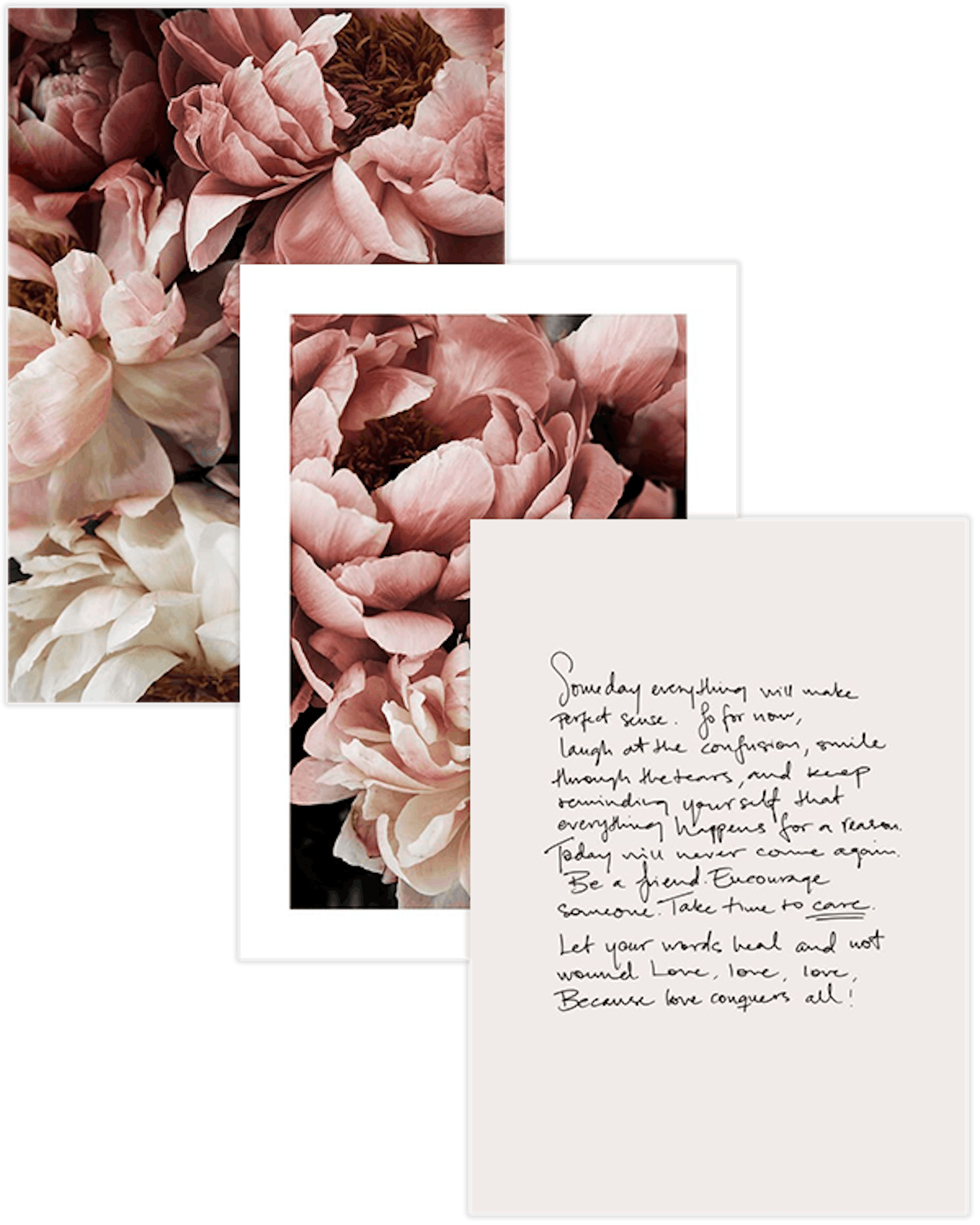 Flower Trio Pack de posters