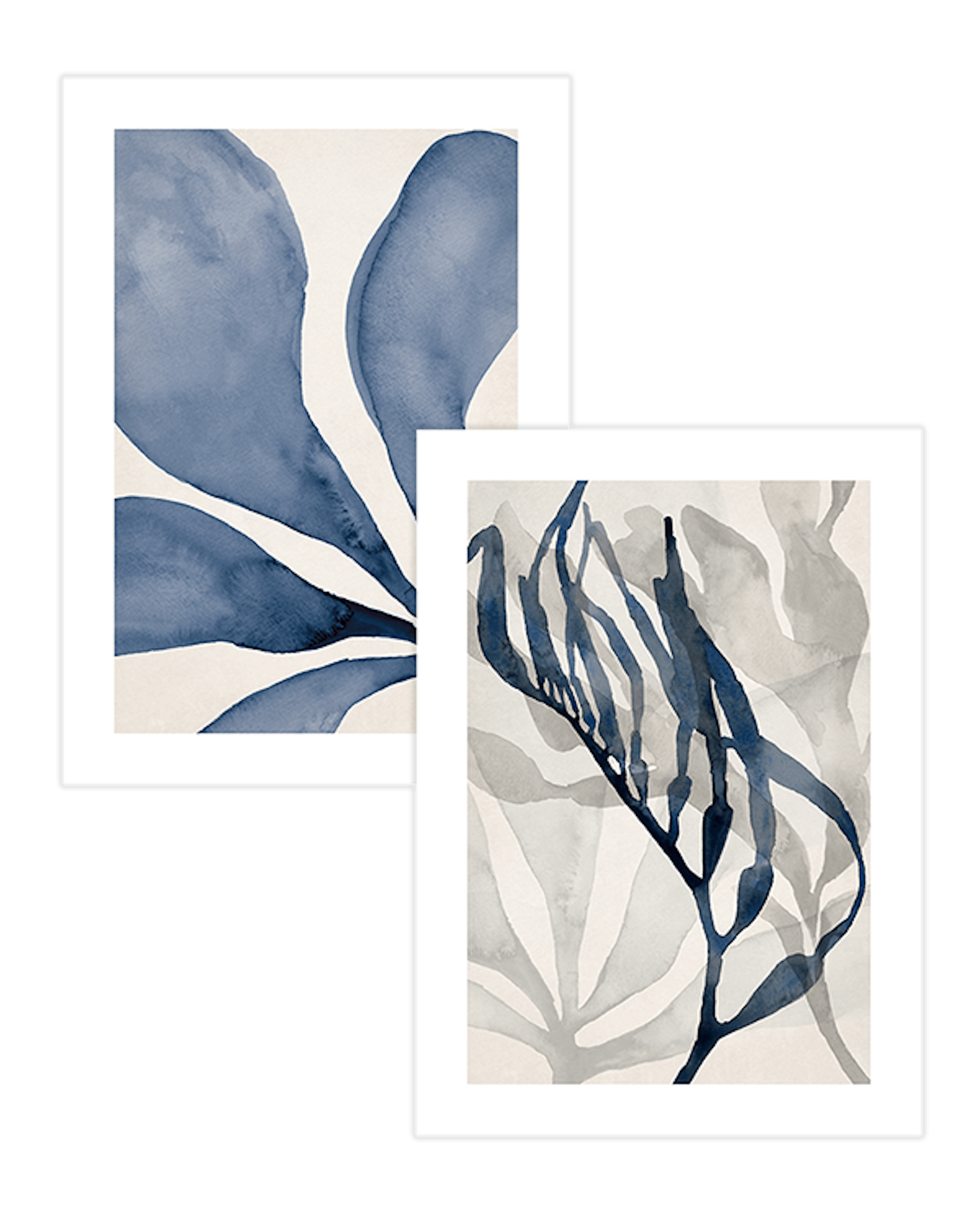 Watercolour Seaweed Duo Πακέτο με poster