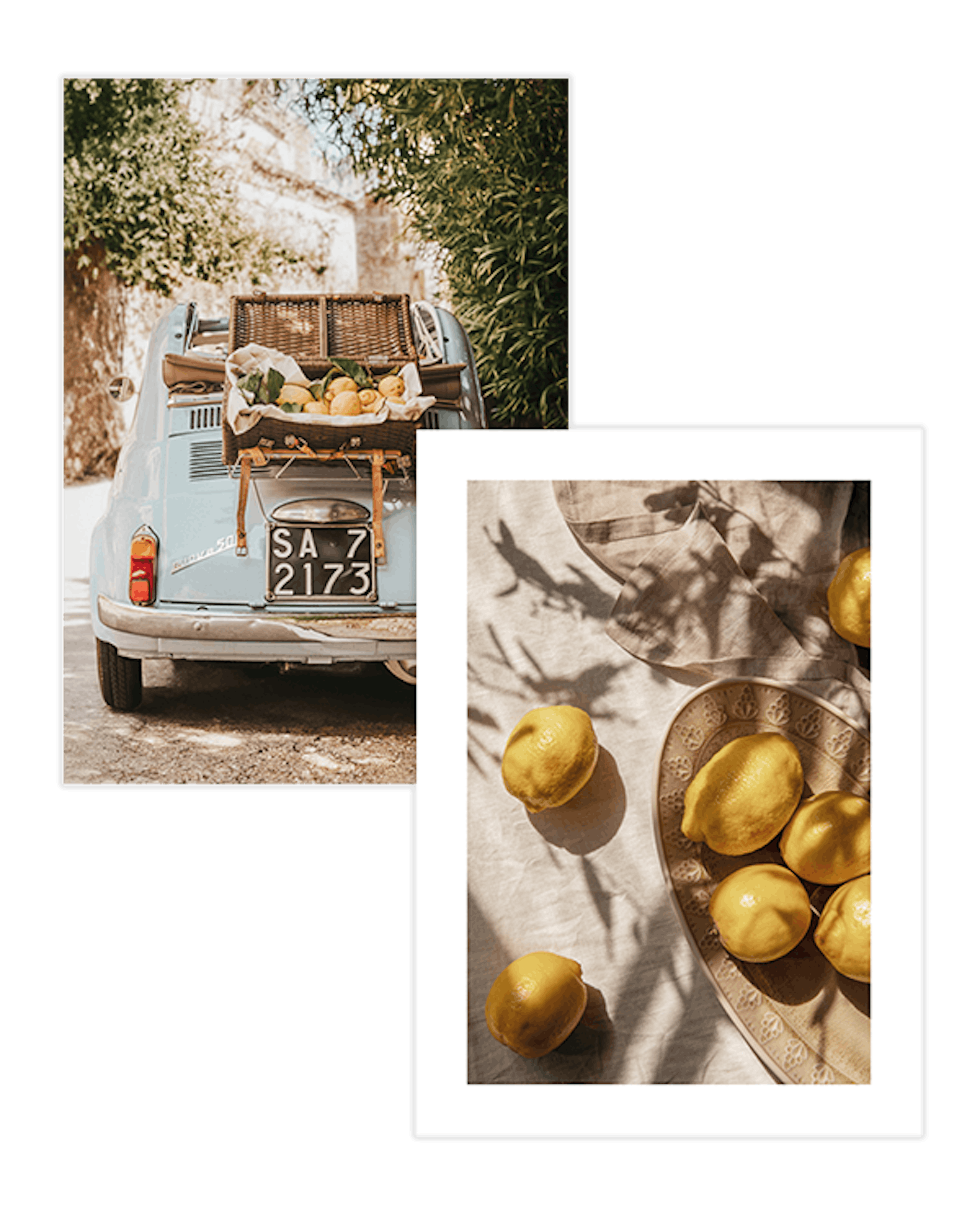 Citrus Poster Pack