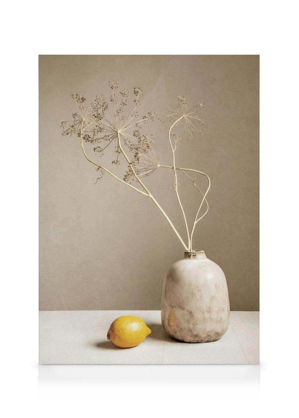 Canvas Schilderijen Lemon and Branches Canvas (50x70 cm)