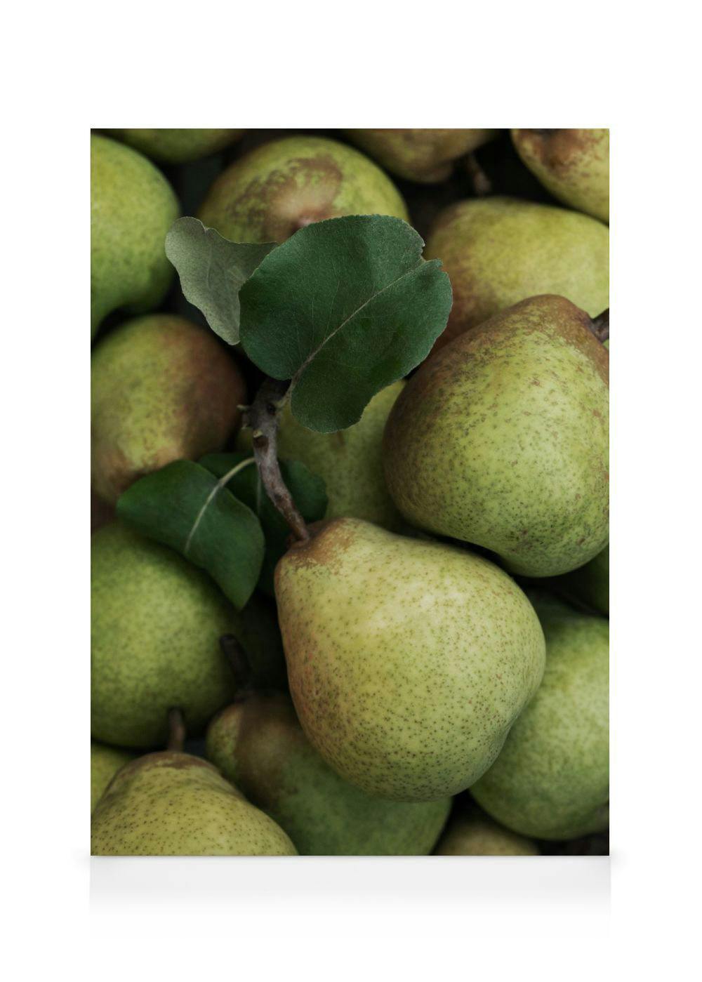Closeup Pears Obraz na plátne (30x40 cm)