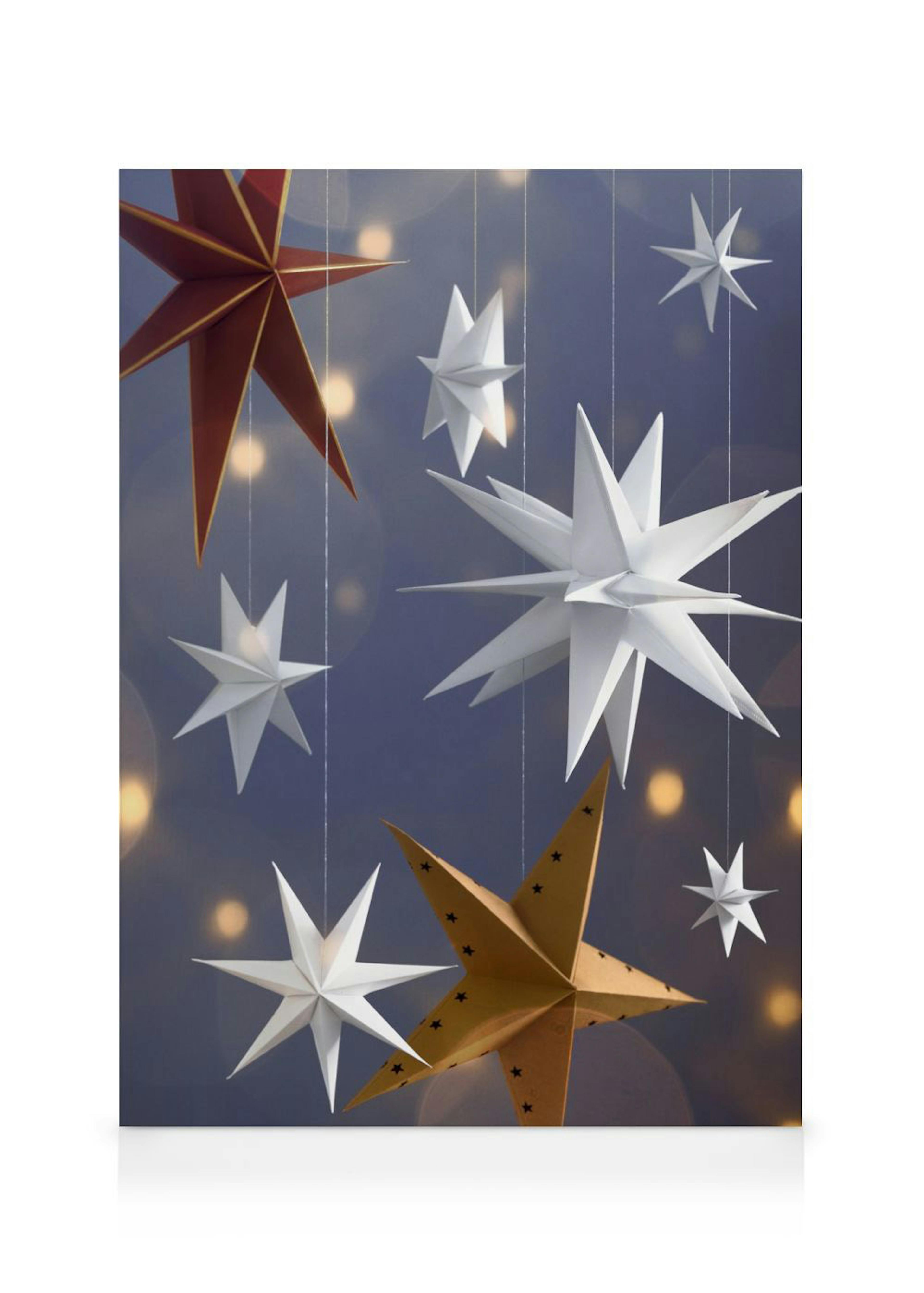 Stars Aligned Lerret 0