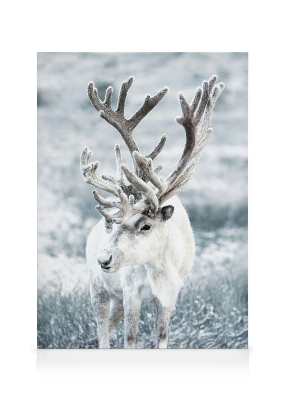 Canvas Schilderijen Winter Reindeer Canvas (30x40 cm)