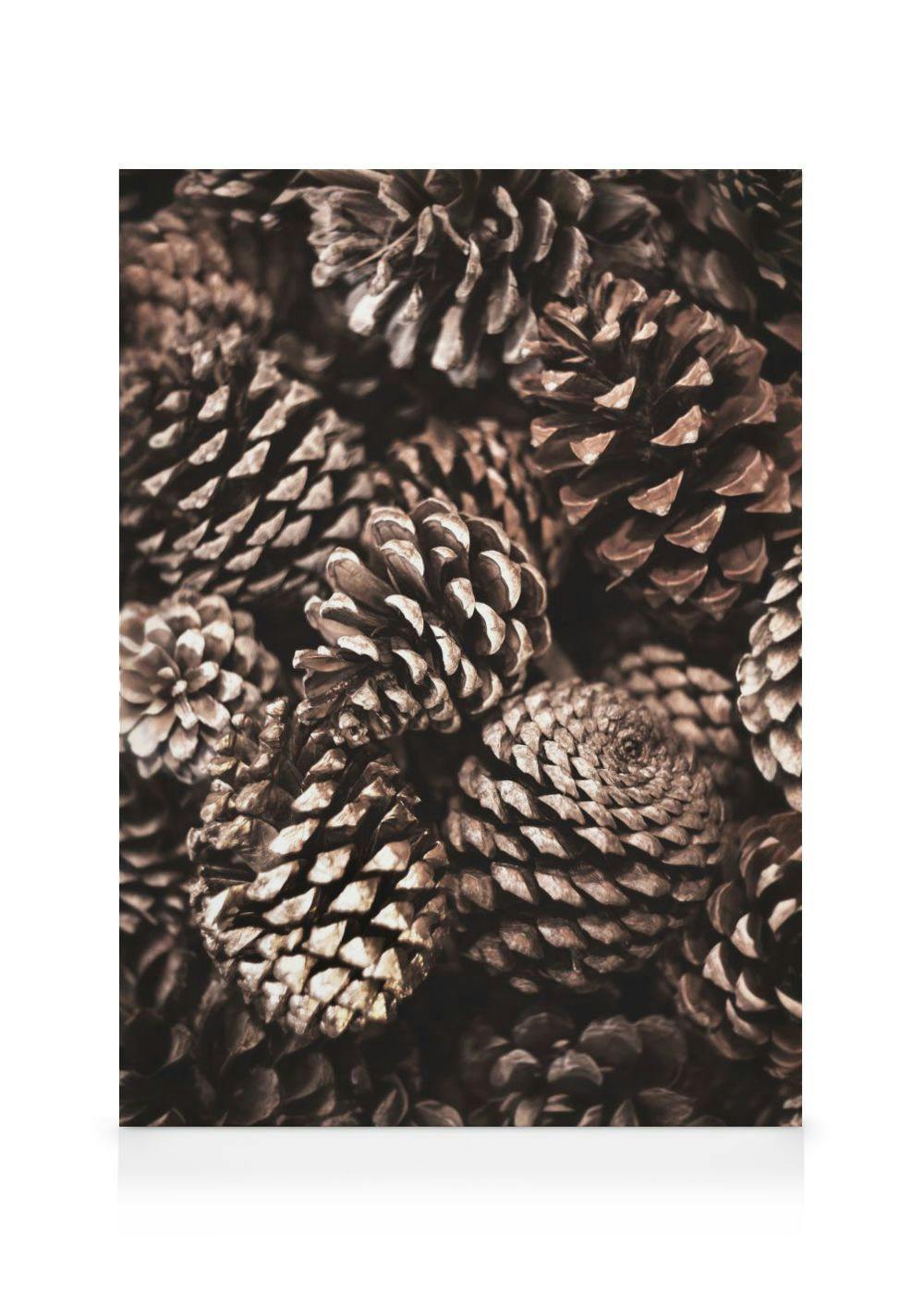 Obrazy na płótnie Pine Cones Obraz na płótnie (50x70 cm)