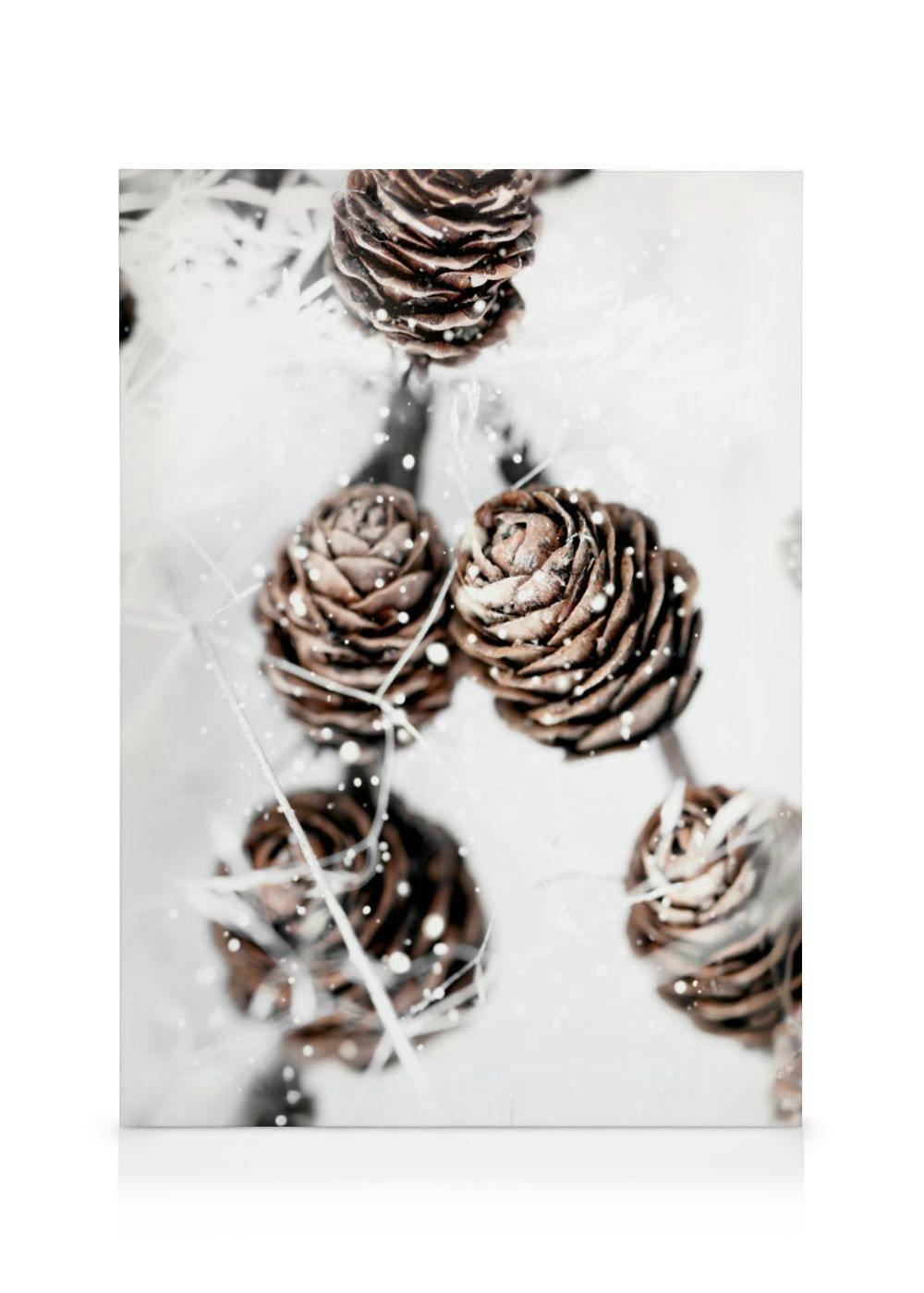 Winter Cones Stampa su Tela (50x70 cm - Cornice in nero)- Foto d'arte