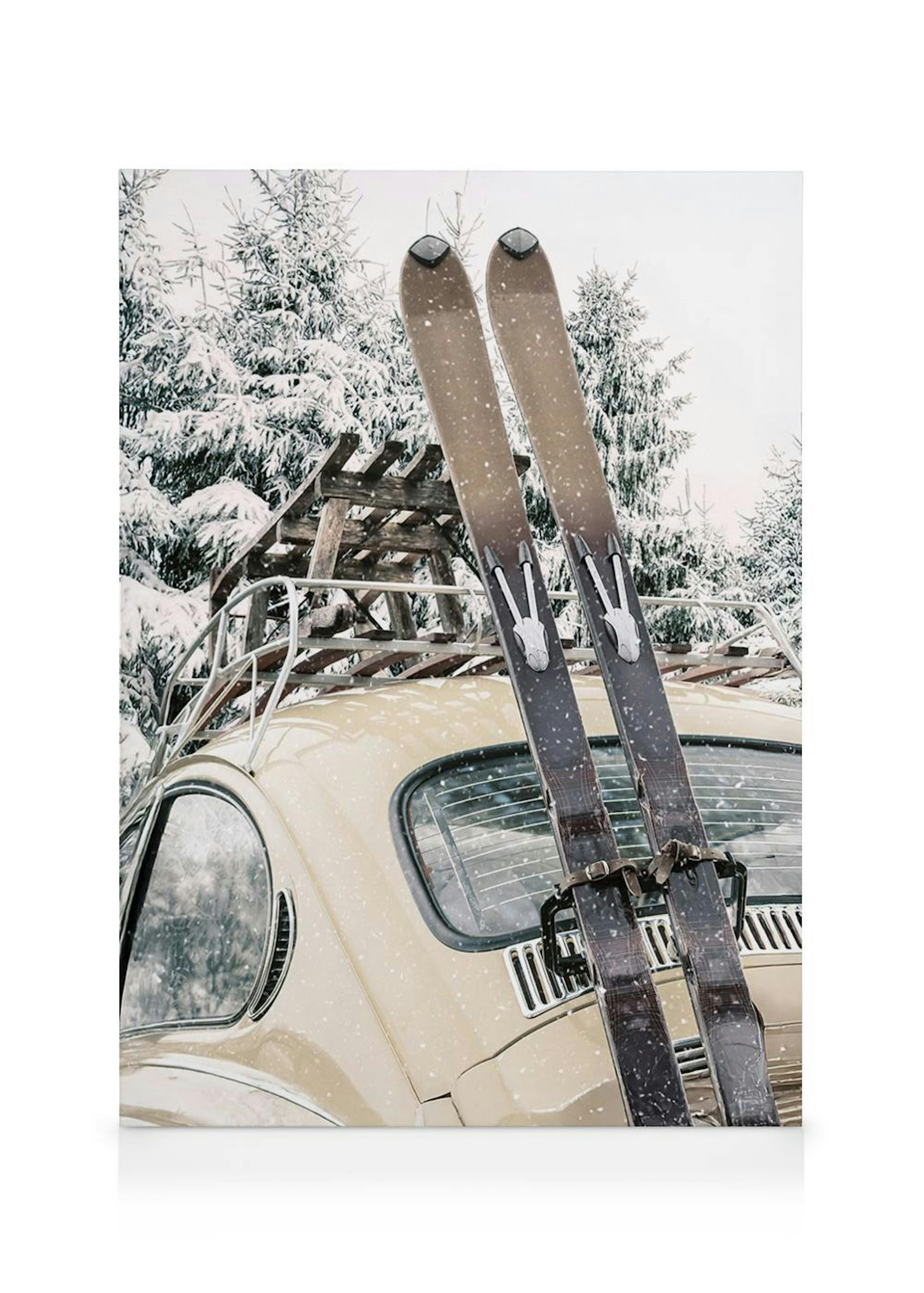 Skis and Snowfall Lienzo 0