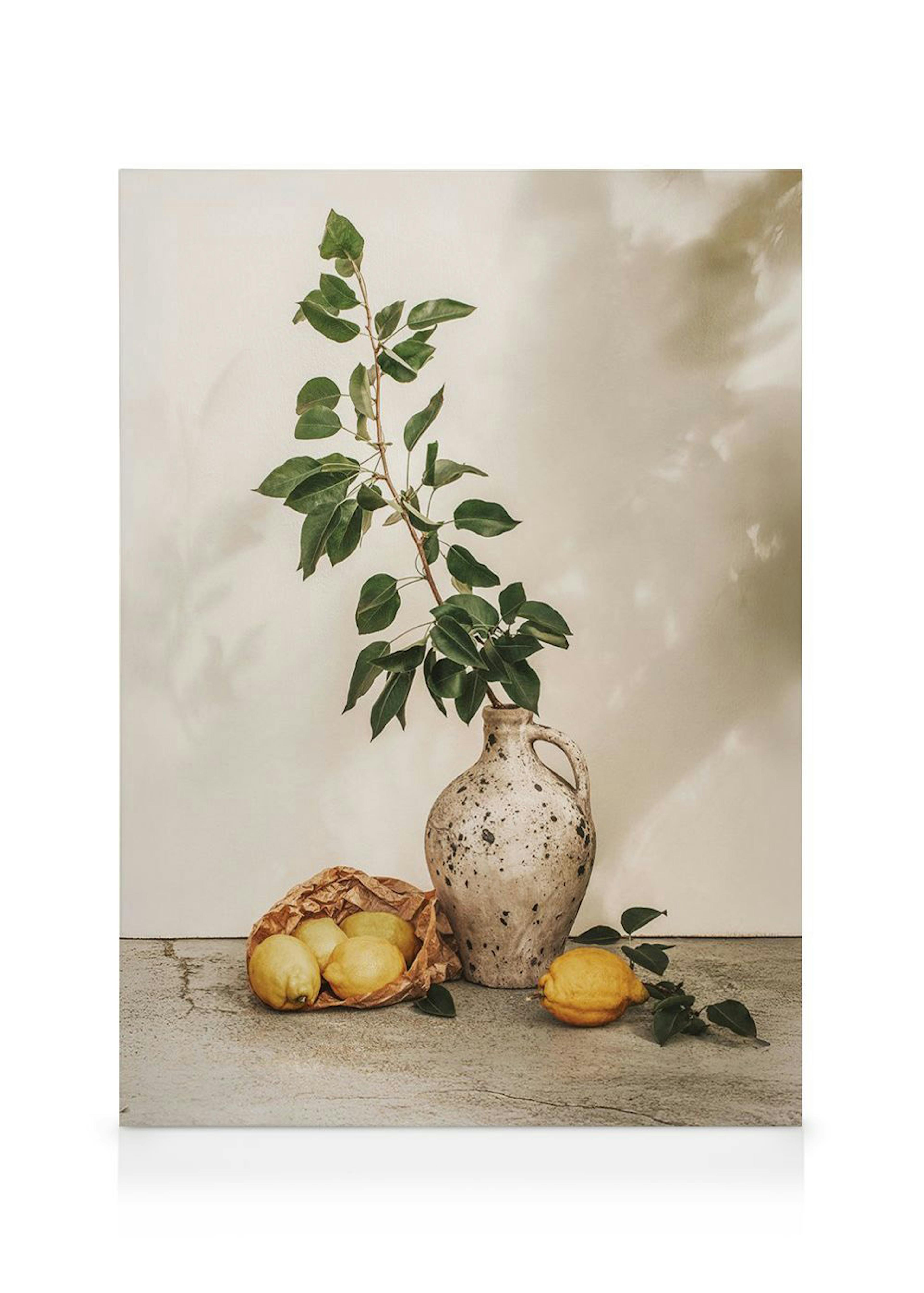 Afternoon Lemons Lienzo 0