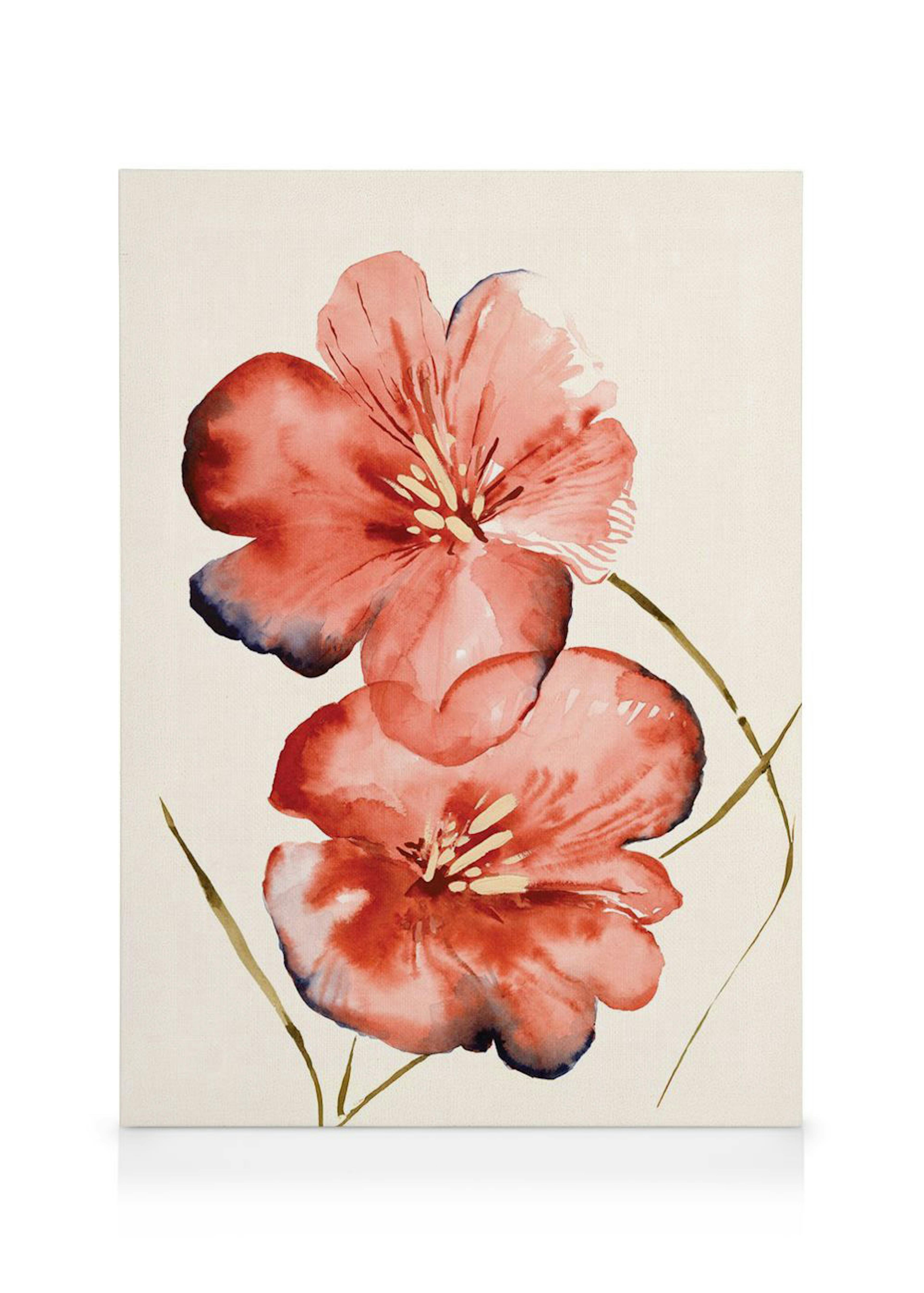 Soft Red Flowers Leinwandbild 0