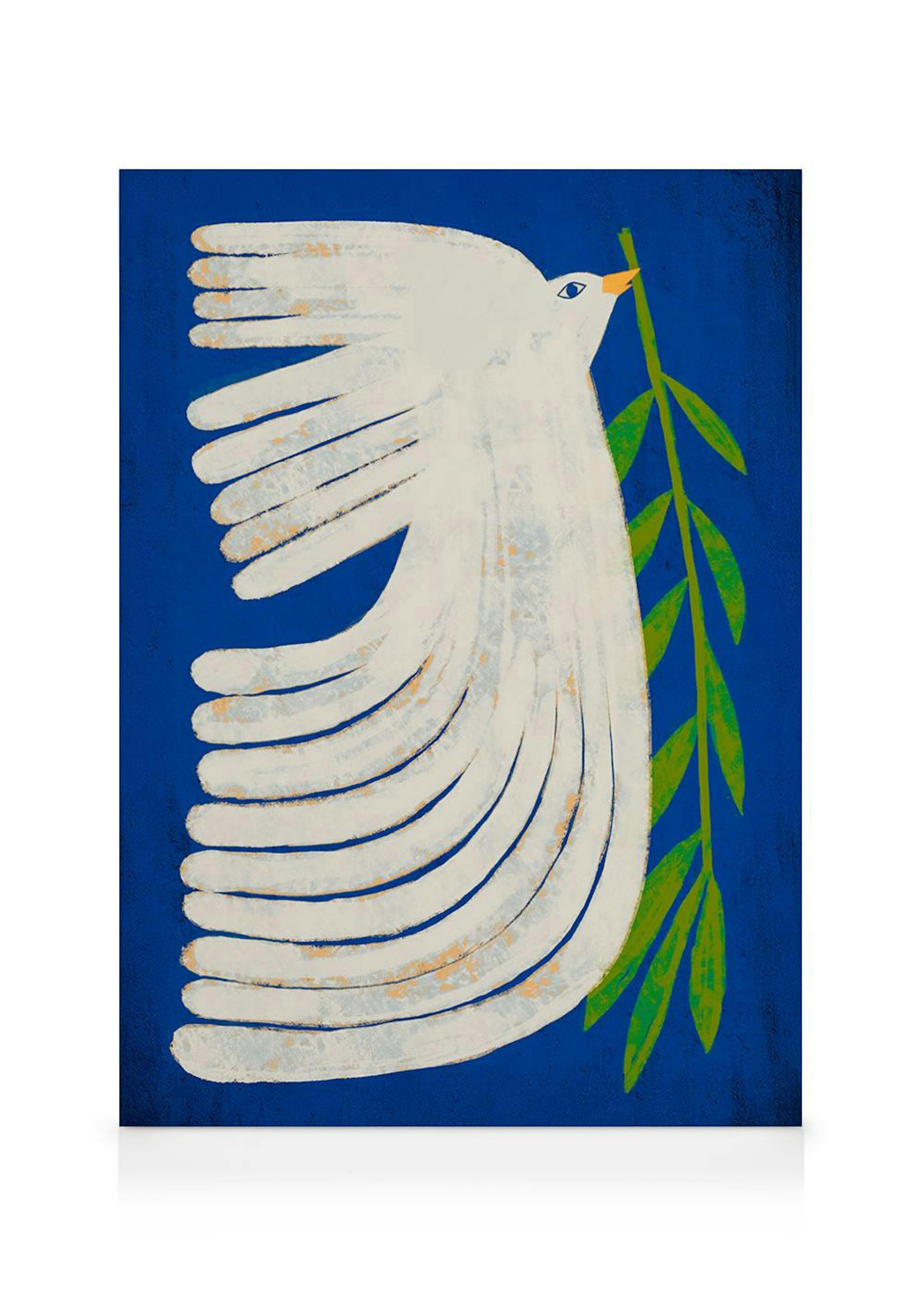 Marco Marella - Peace Dove Lienzo 0