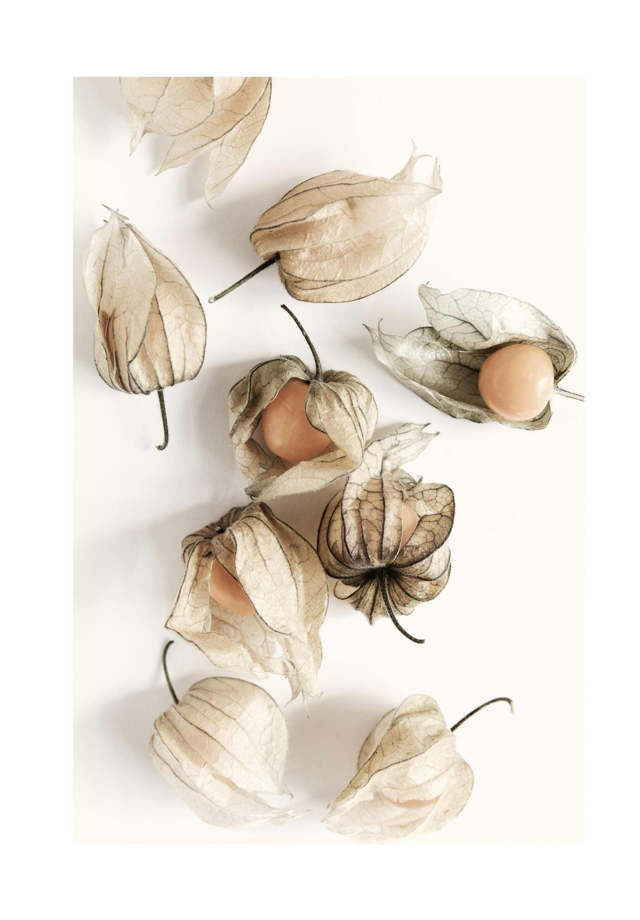 Prints - Golden Berries Print (30x40 cm) - Kitchen wall art