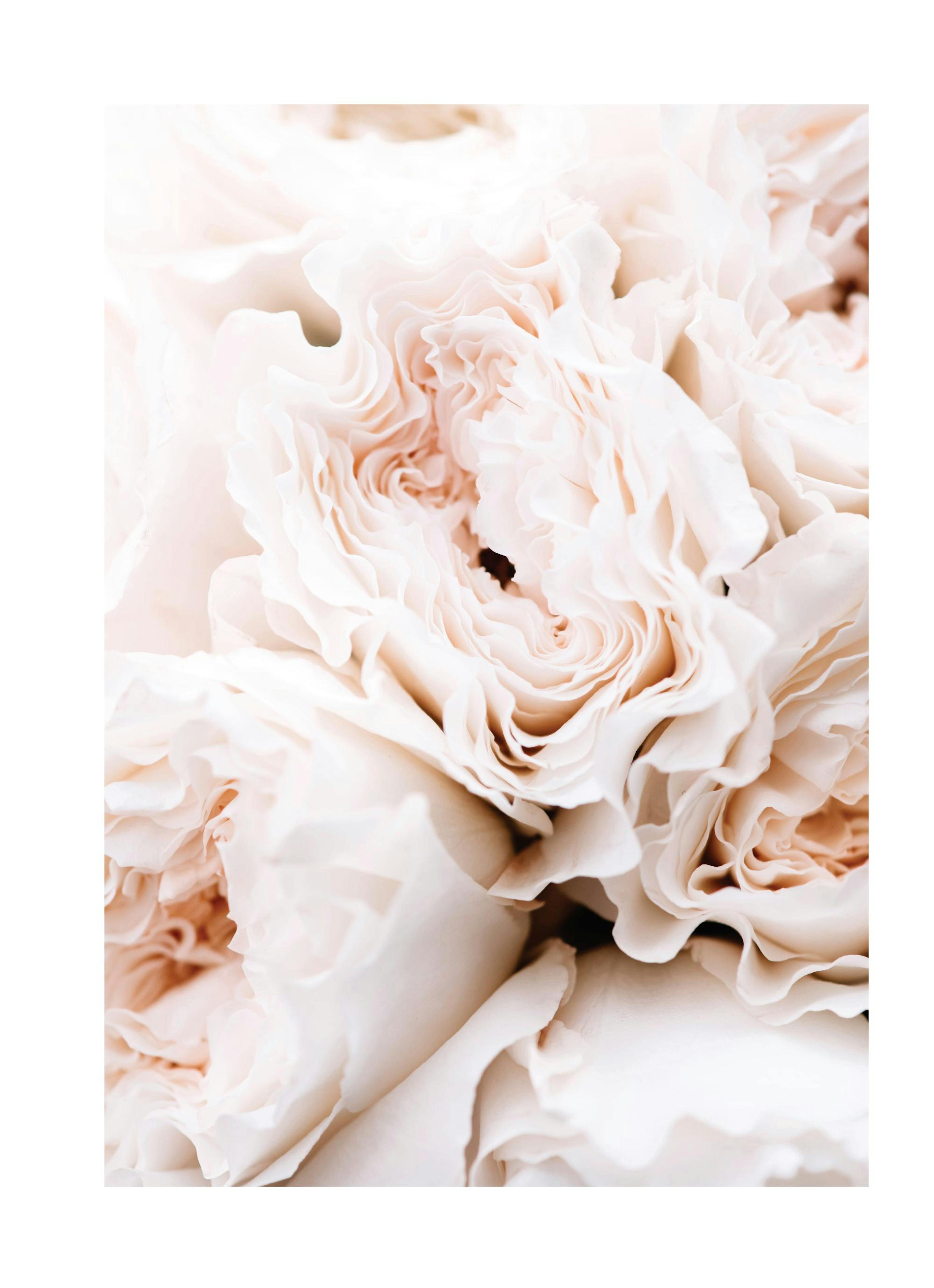 Product image: 1