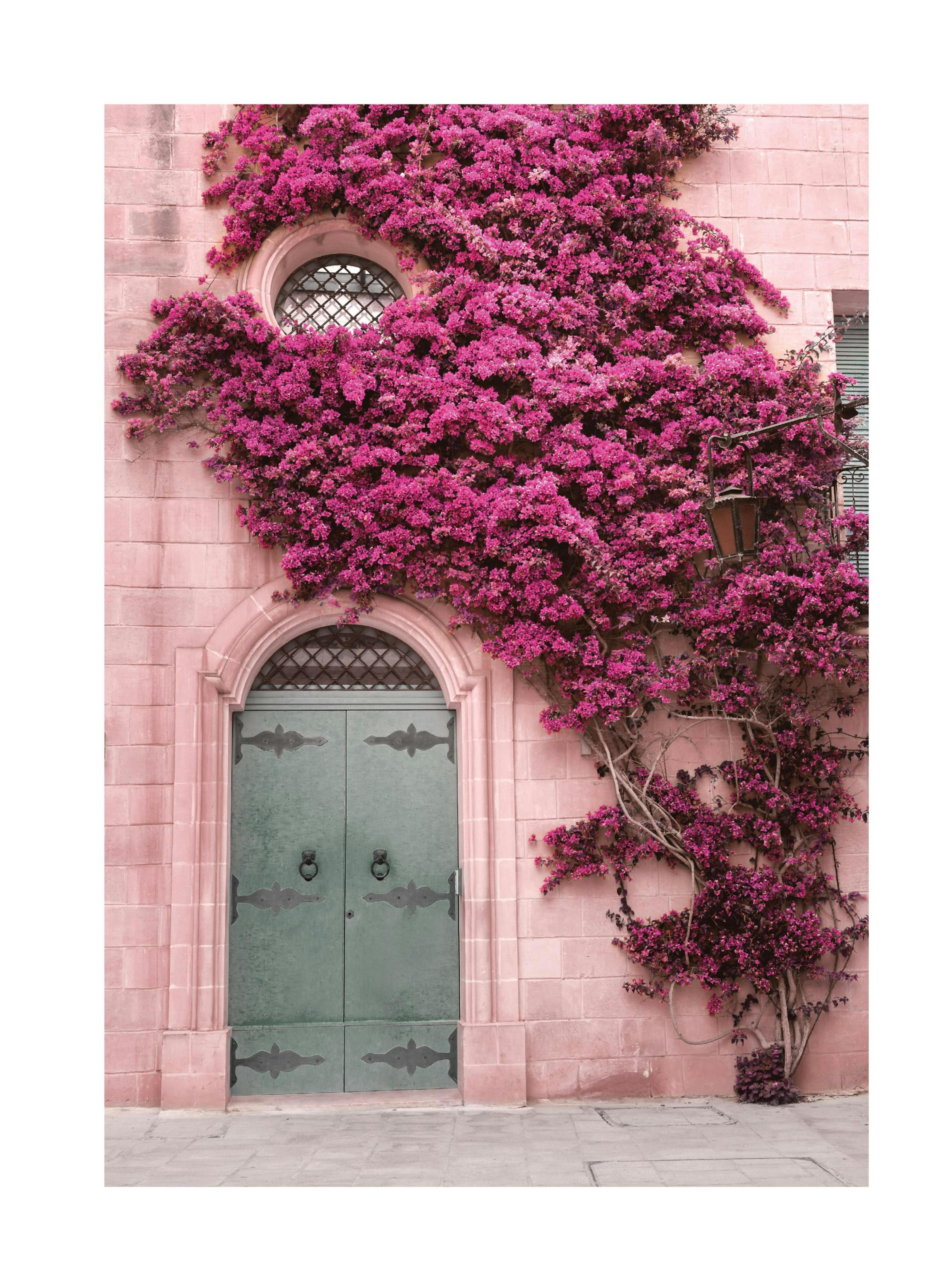Pink Flower Wall Poster