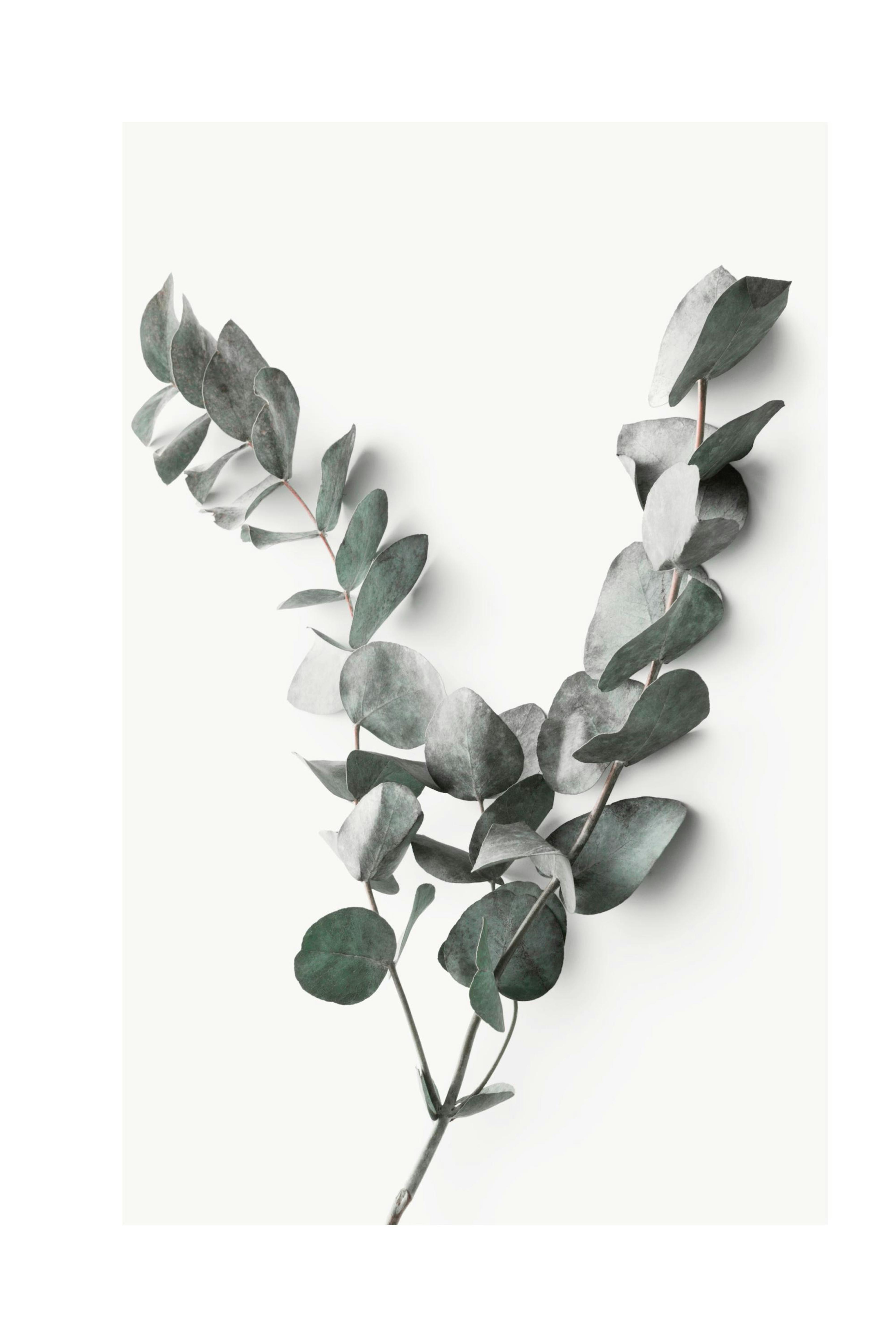 Product image: 1