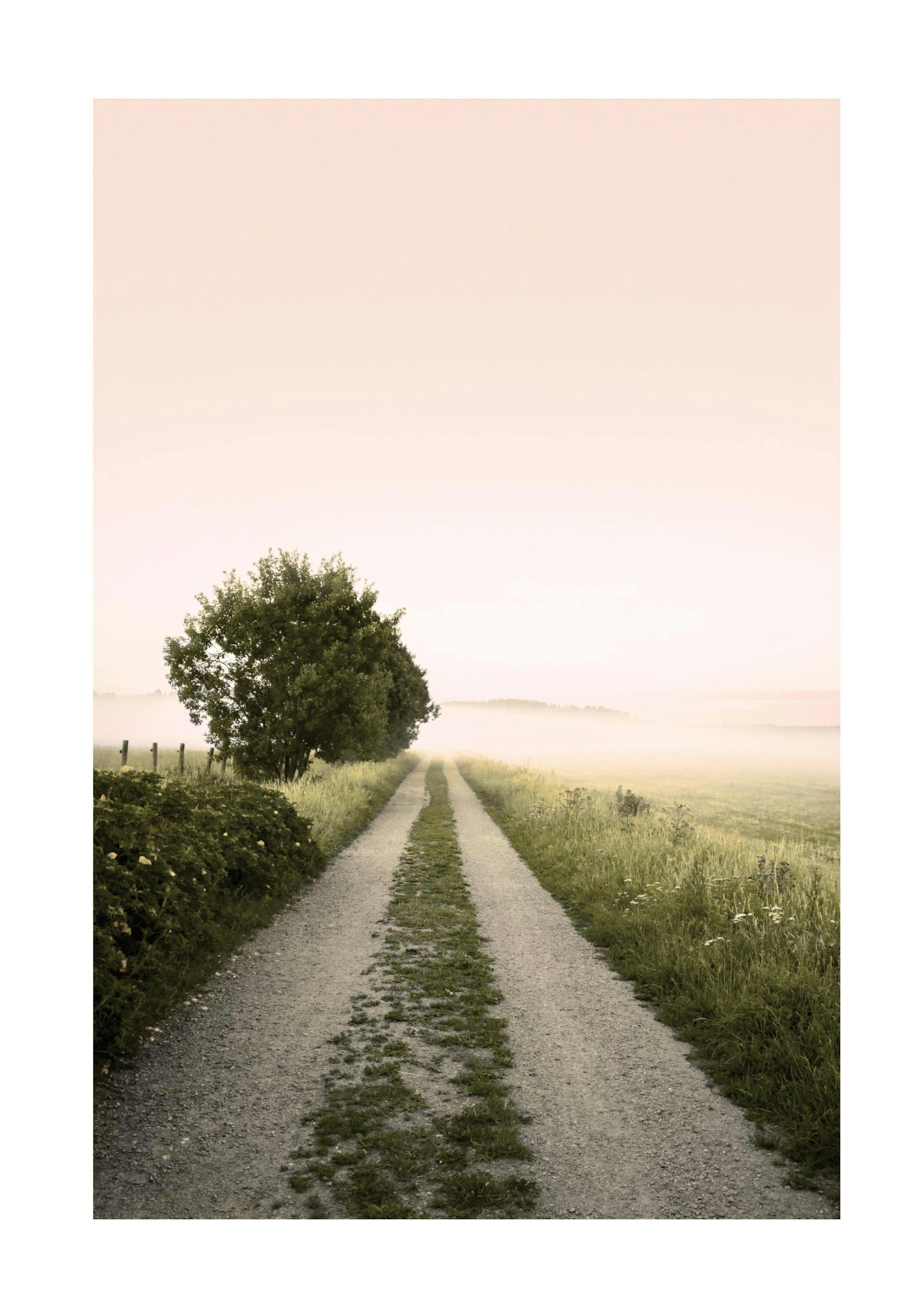 Foggy Morning Print 0