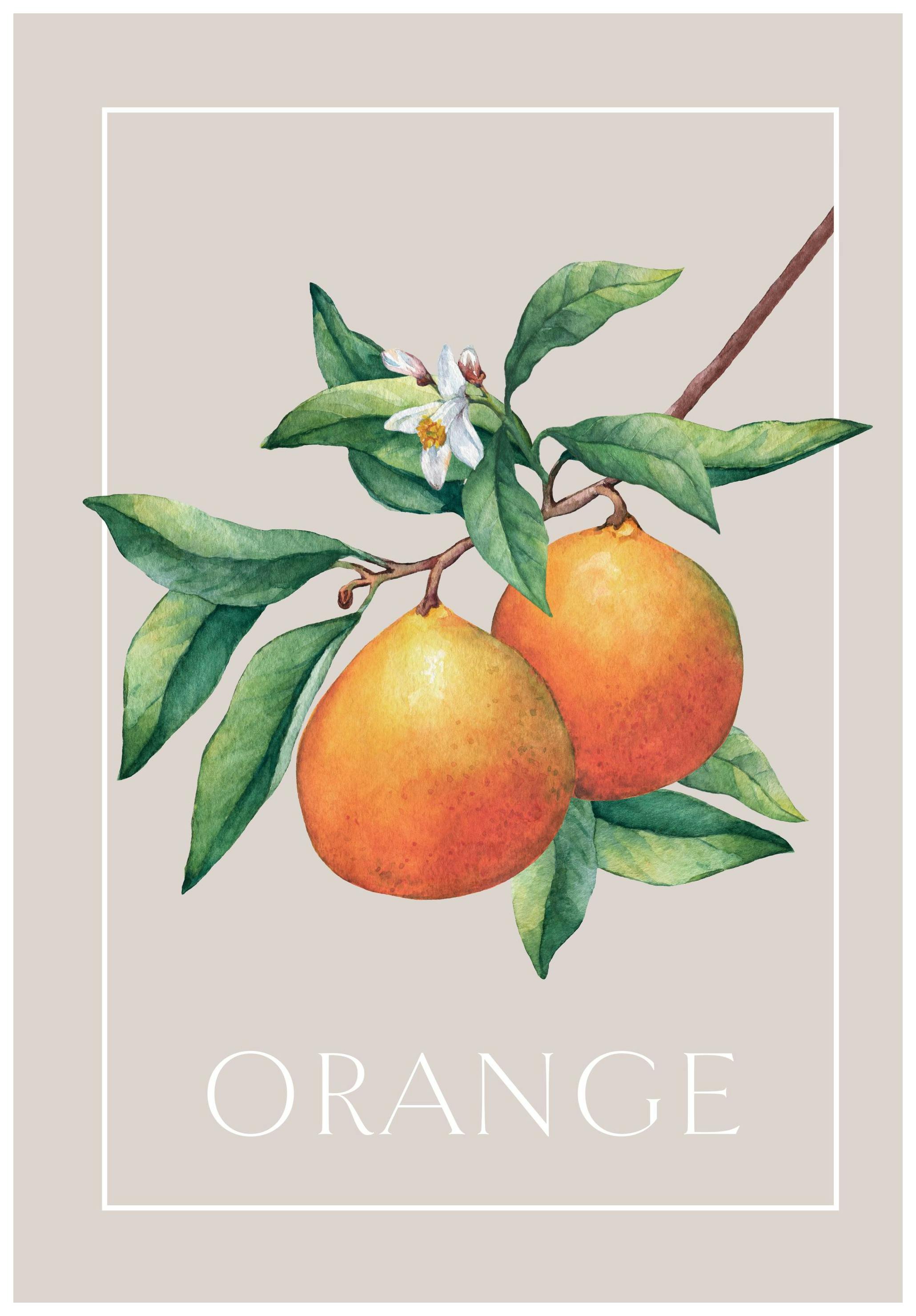 Prints - Vintage Oranges Print (21x30 cm) - Kitchen wall art