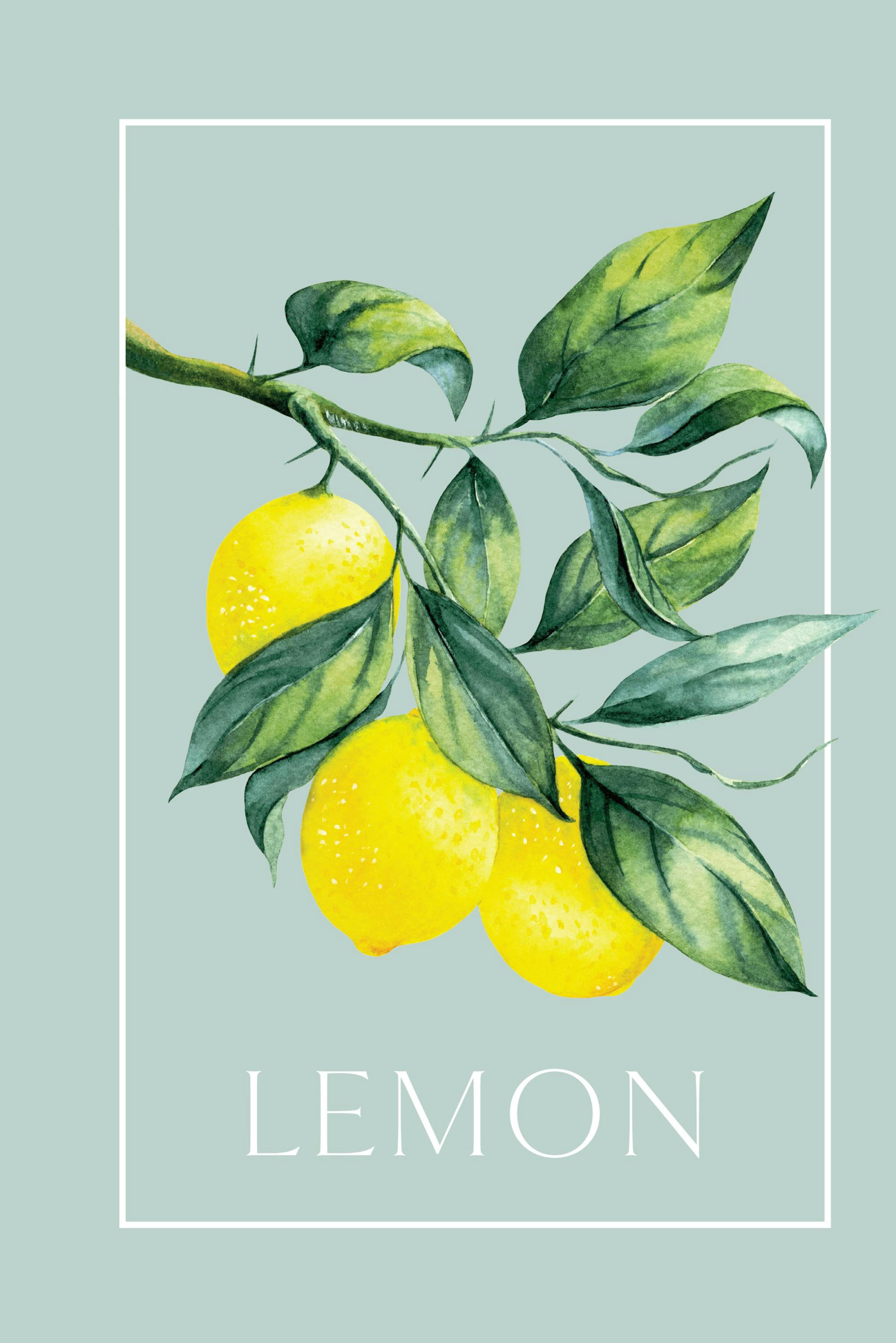 Vintage Lemons Poster