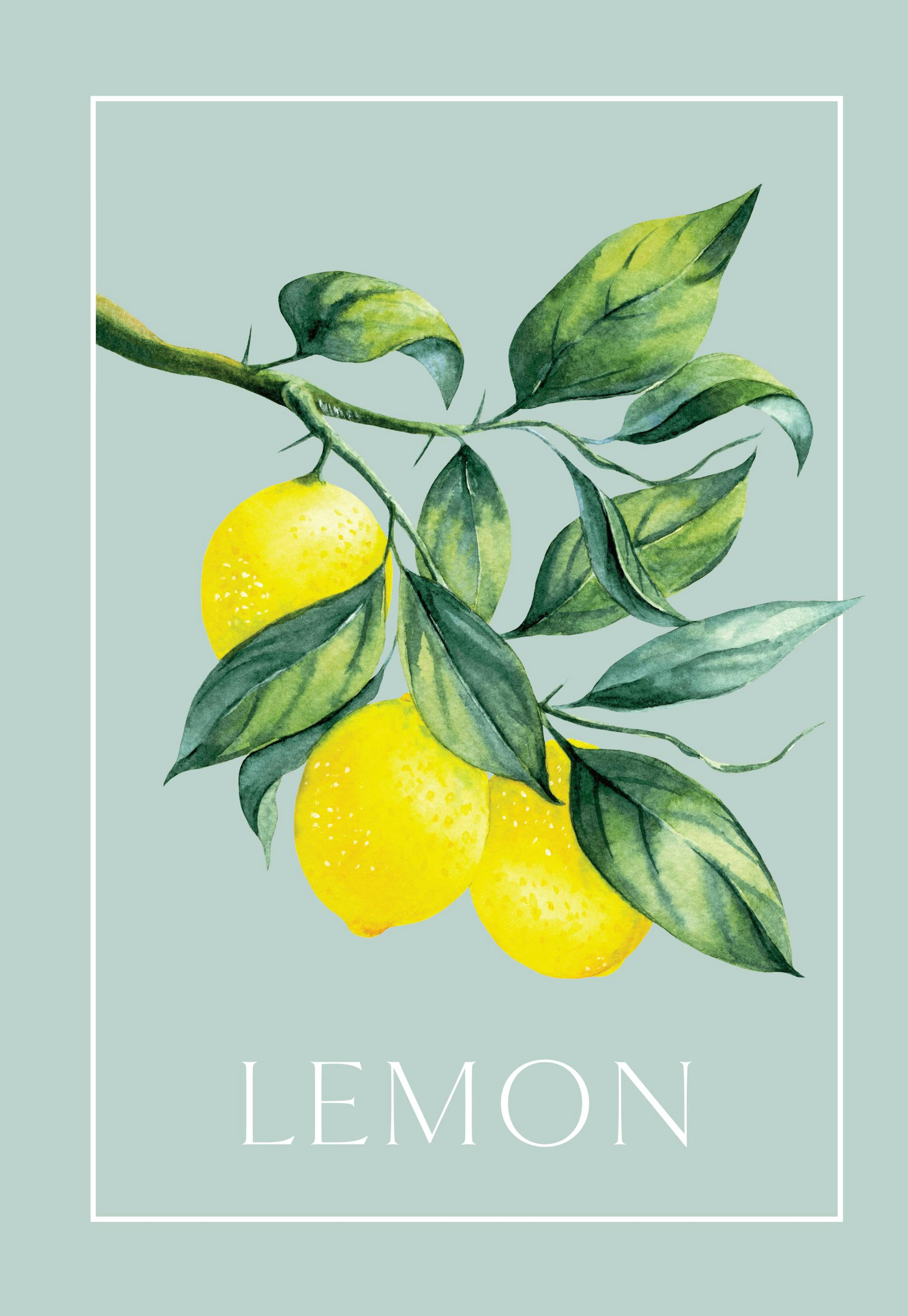 Vintage Lemons Print 0