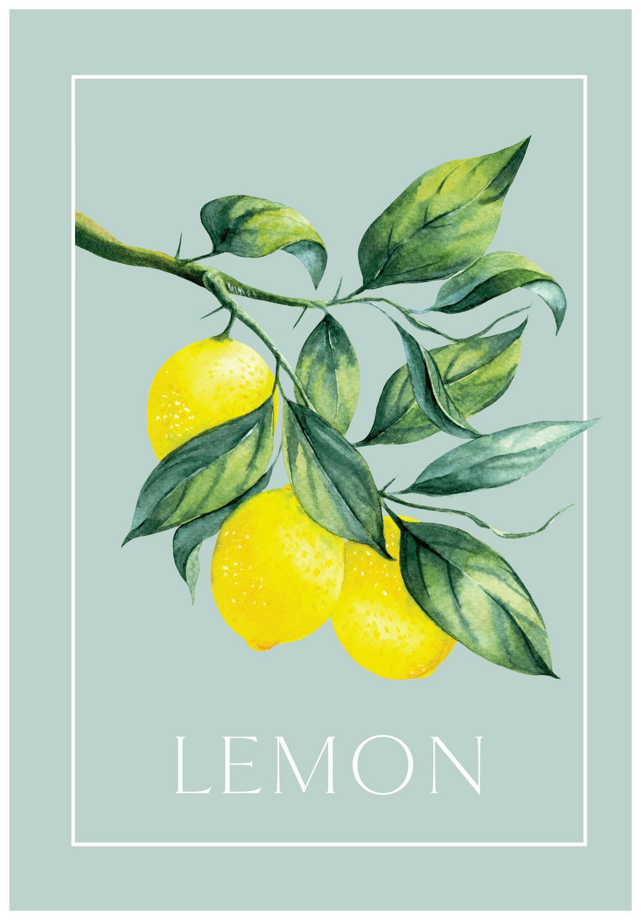 Vintage Lemons Print (21x30 cm)