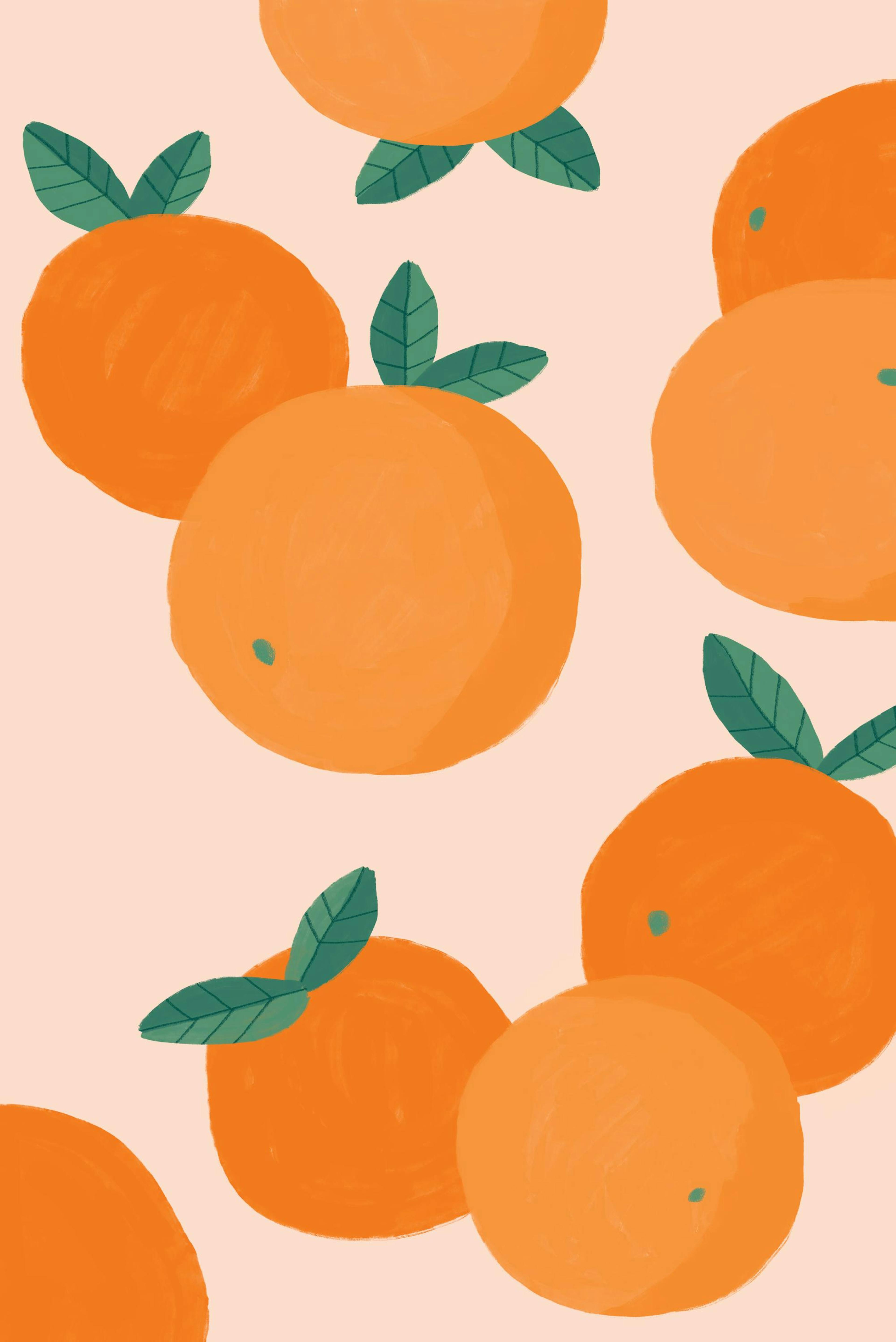 Oranges Illustration Poster