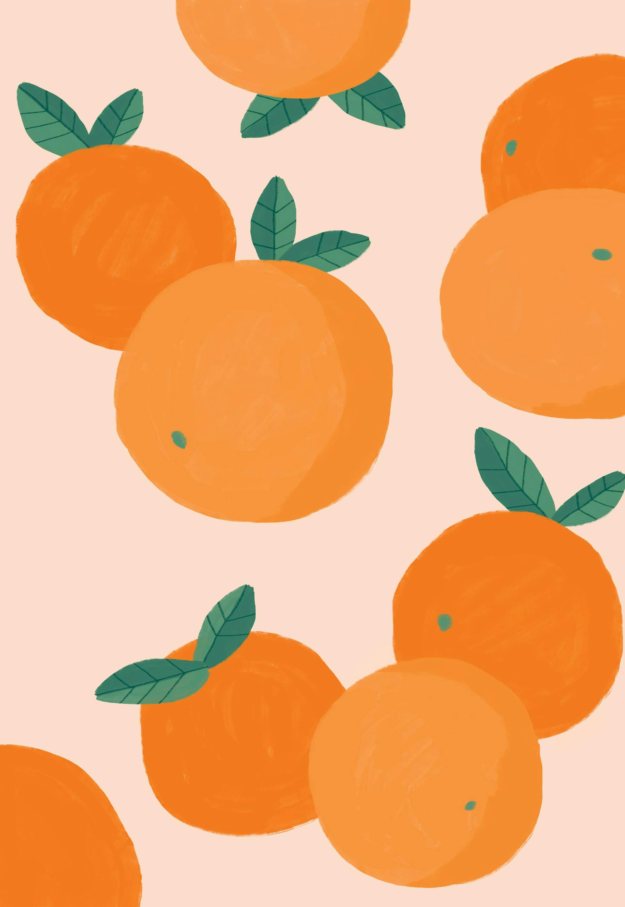 Oranges Illustration Poster 0