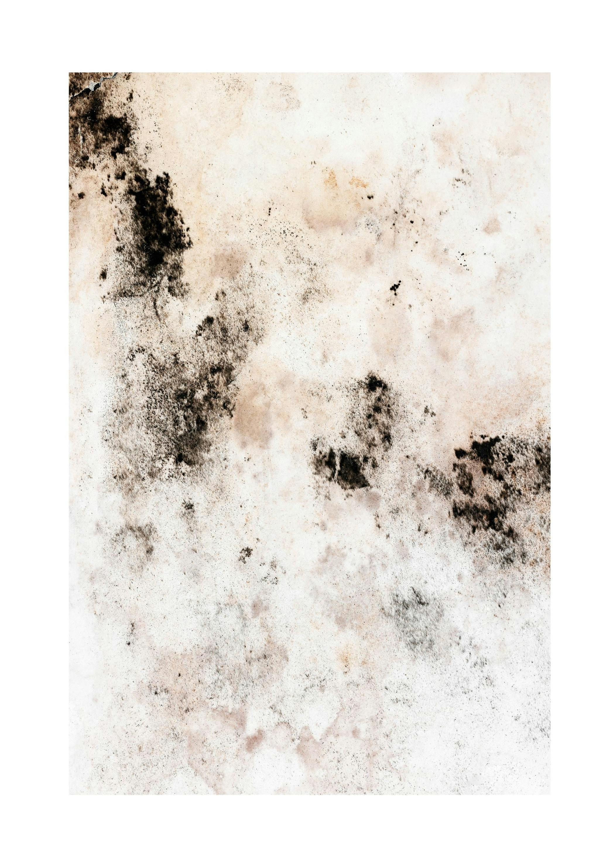 Stained Wall Poster (50x70 cm) -  Fotografien