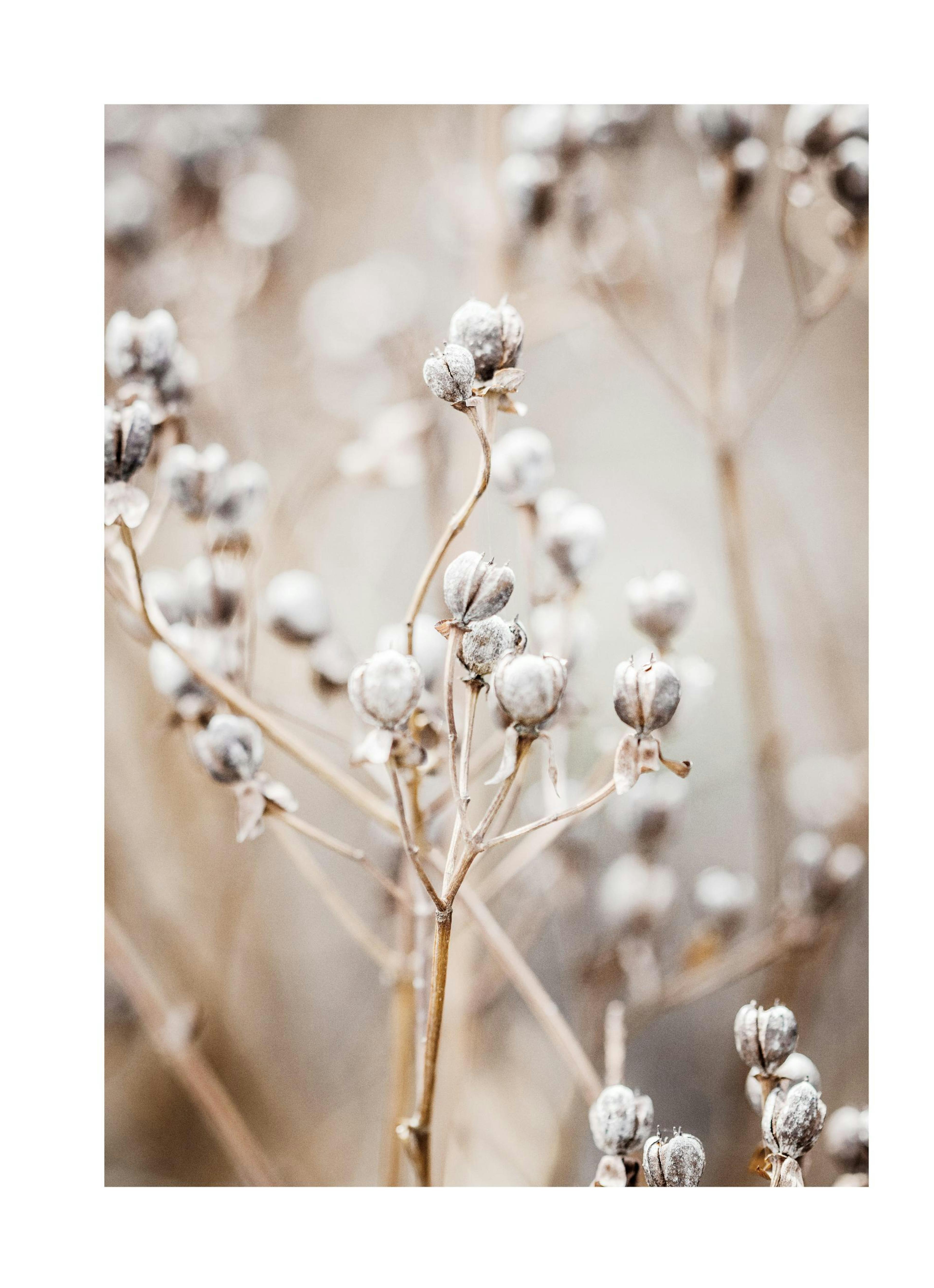 Autumn Nature Affiche 0