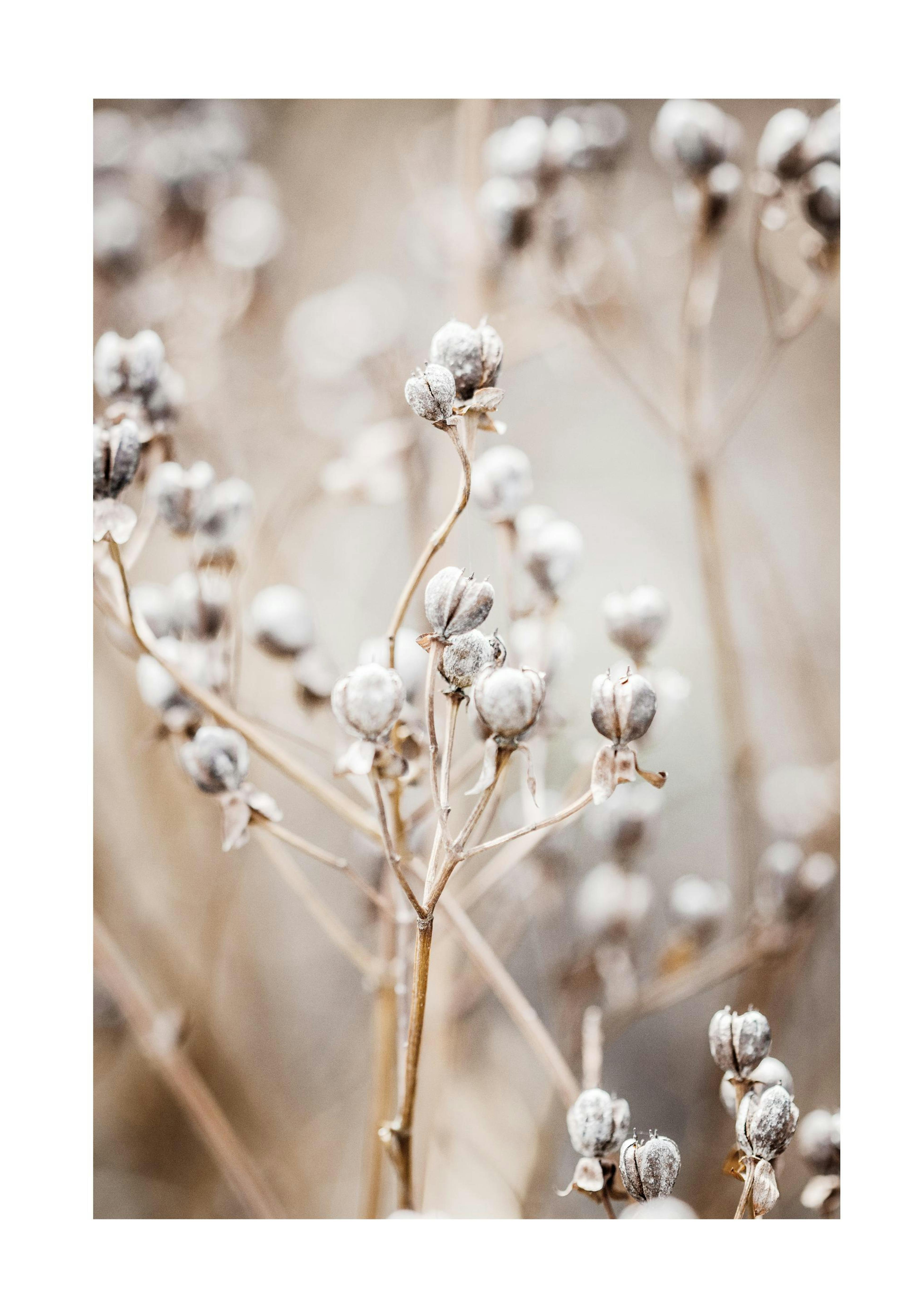 Autumn Nature Print 0