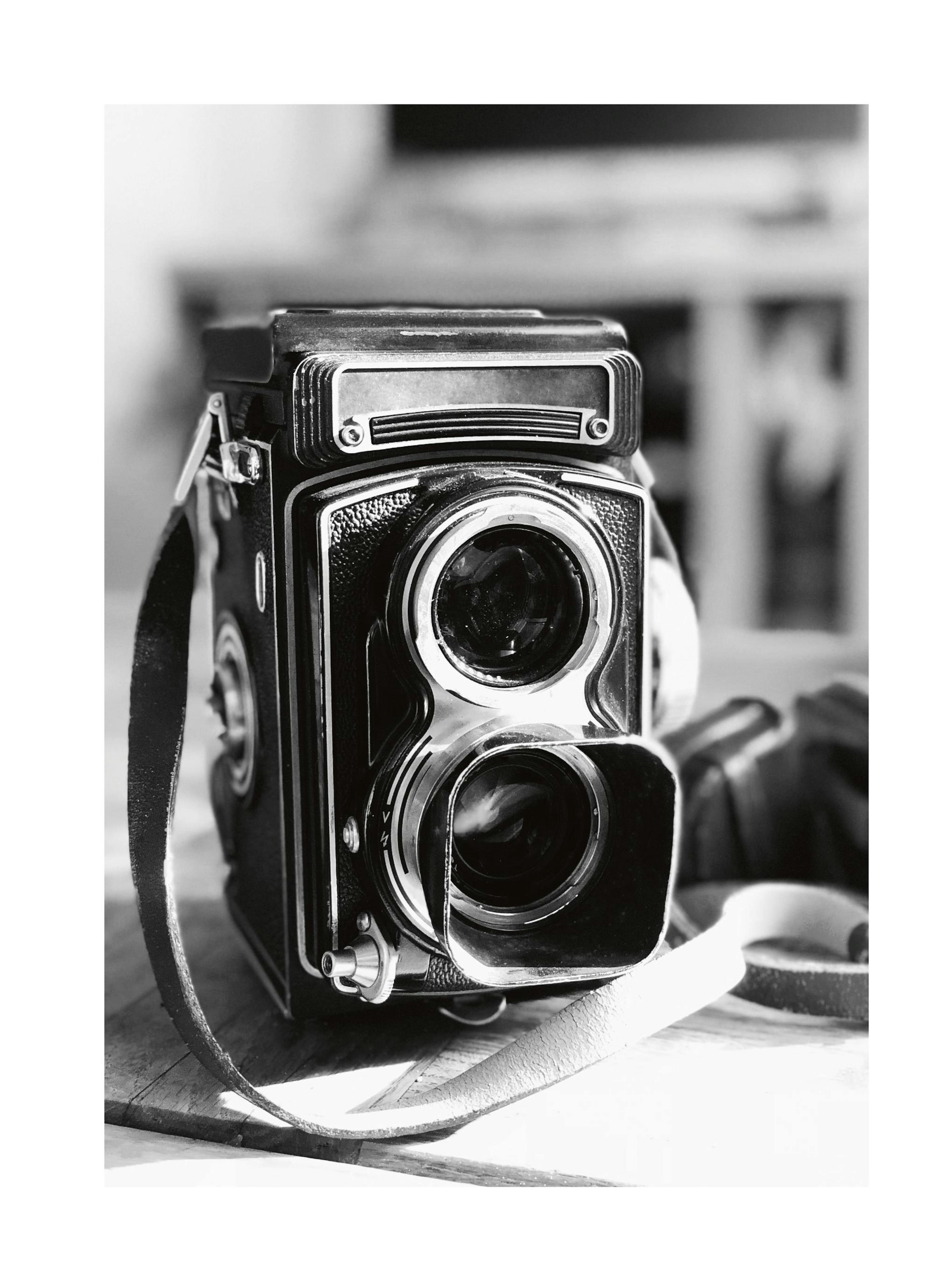 Old Style Camera Print
