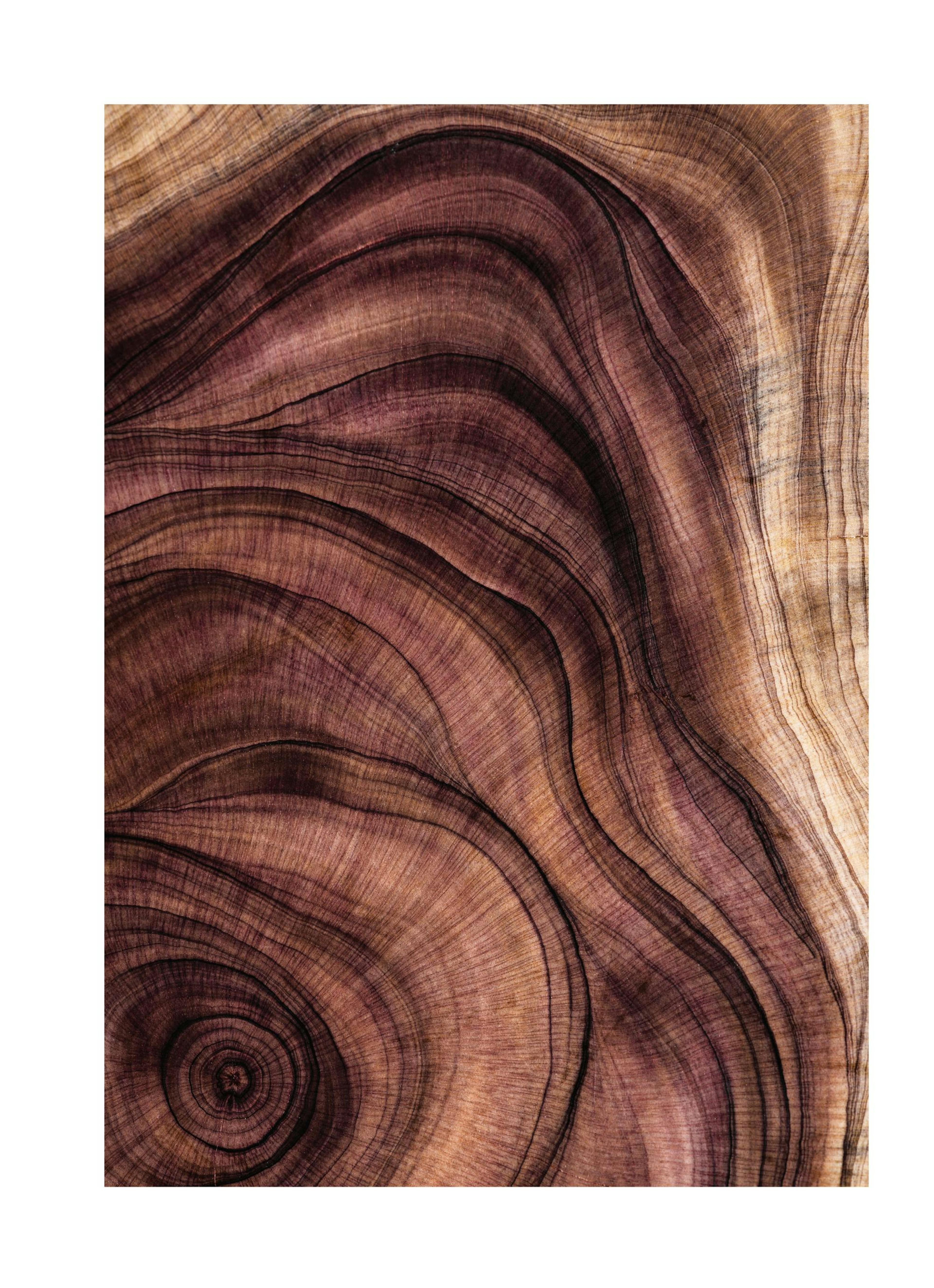 Wood Pattern Poster