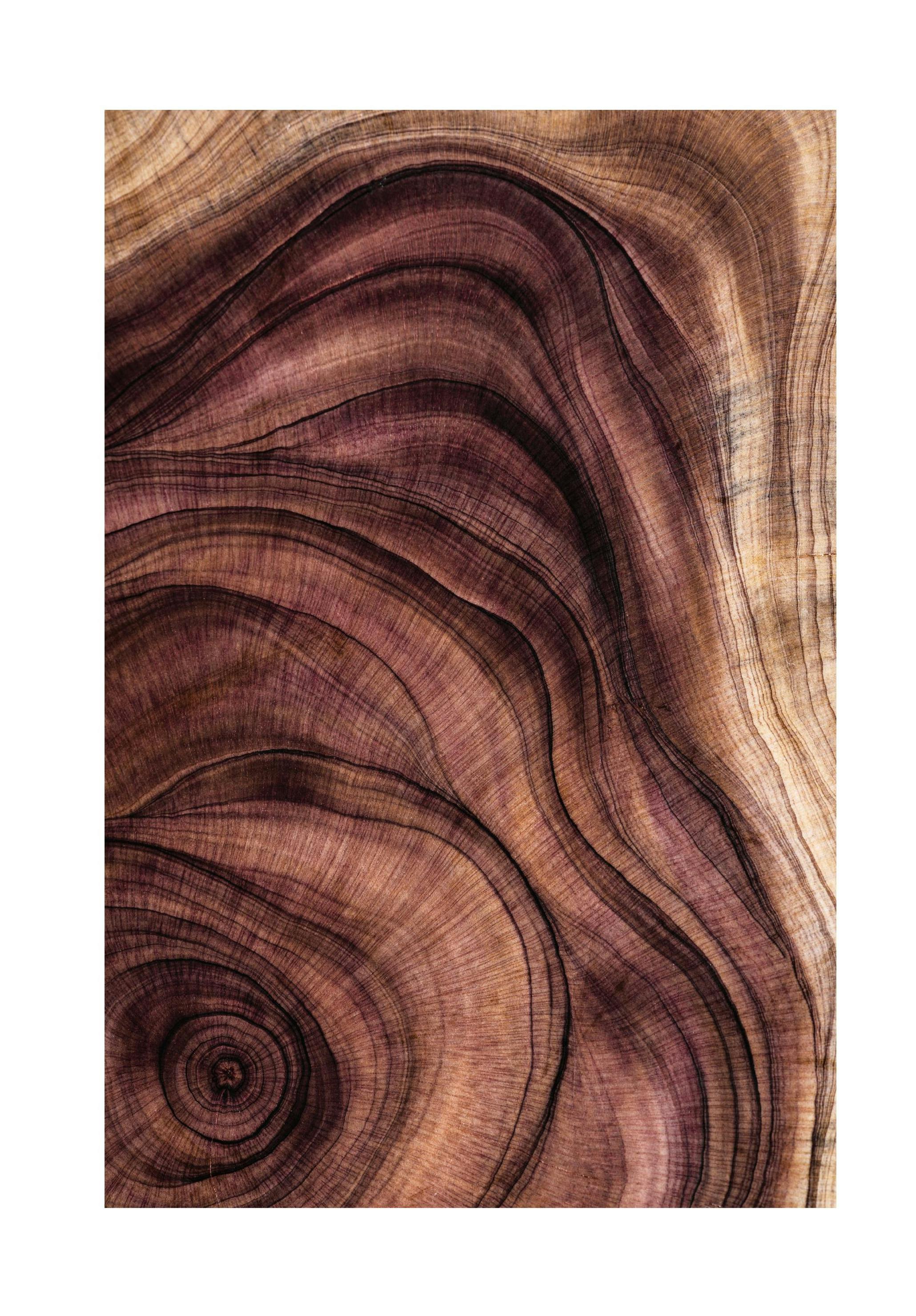 Wood Pattern Poster (50x70 cm) -  Bilder mit Naturmotiven