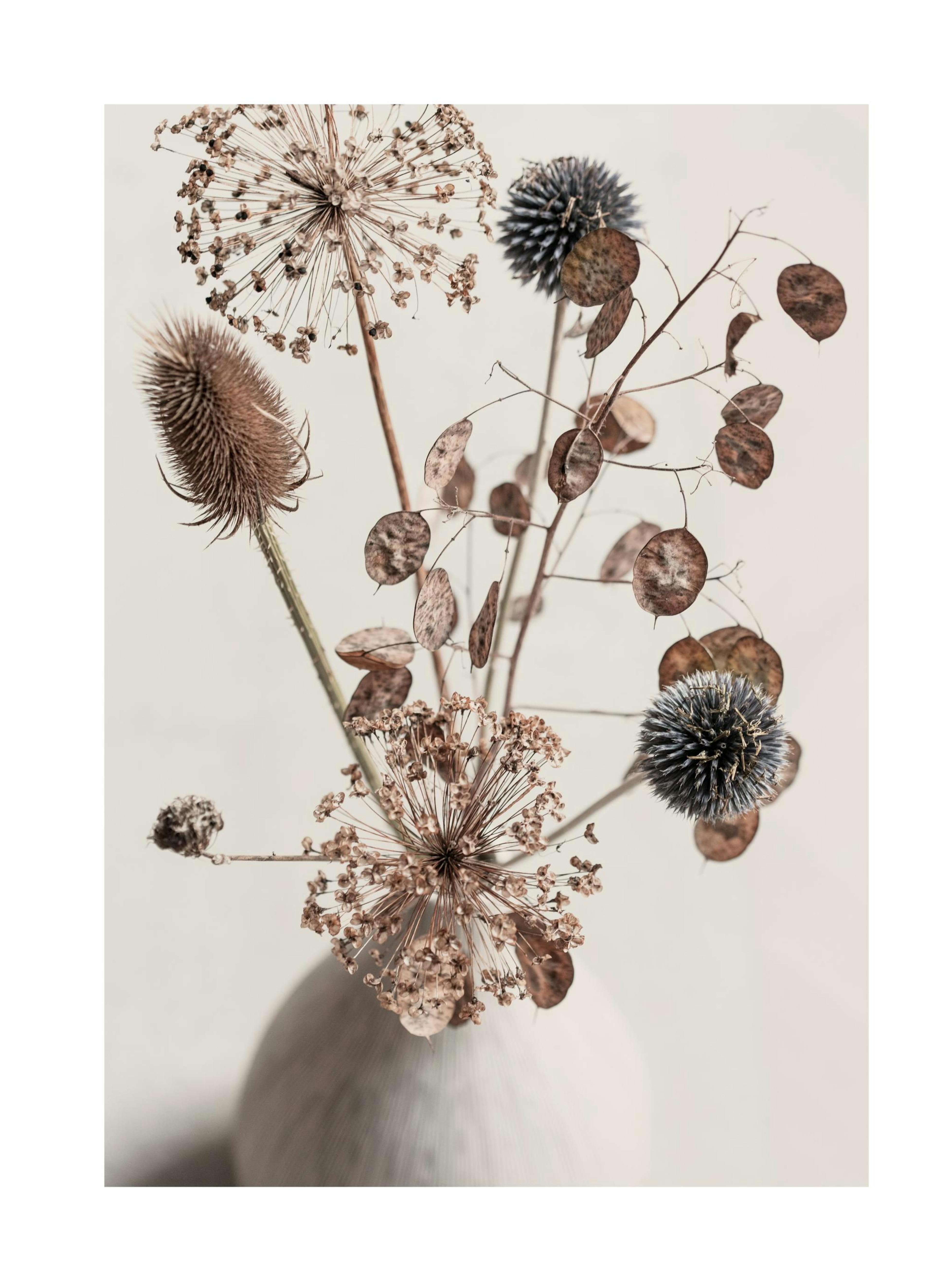 Delicate Boquet Poster