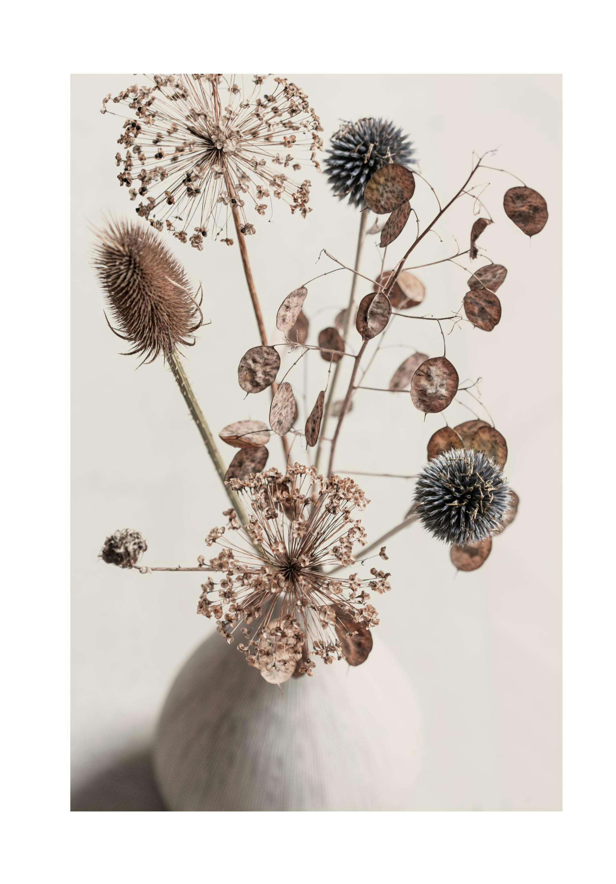 Delicate Boquet Plakat (21x30 cm)- Plakaty botaniczne