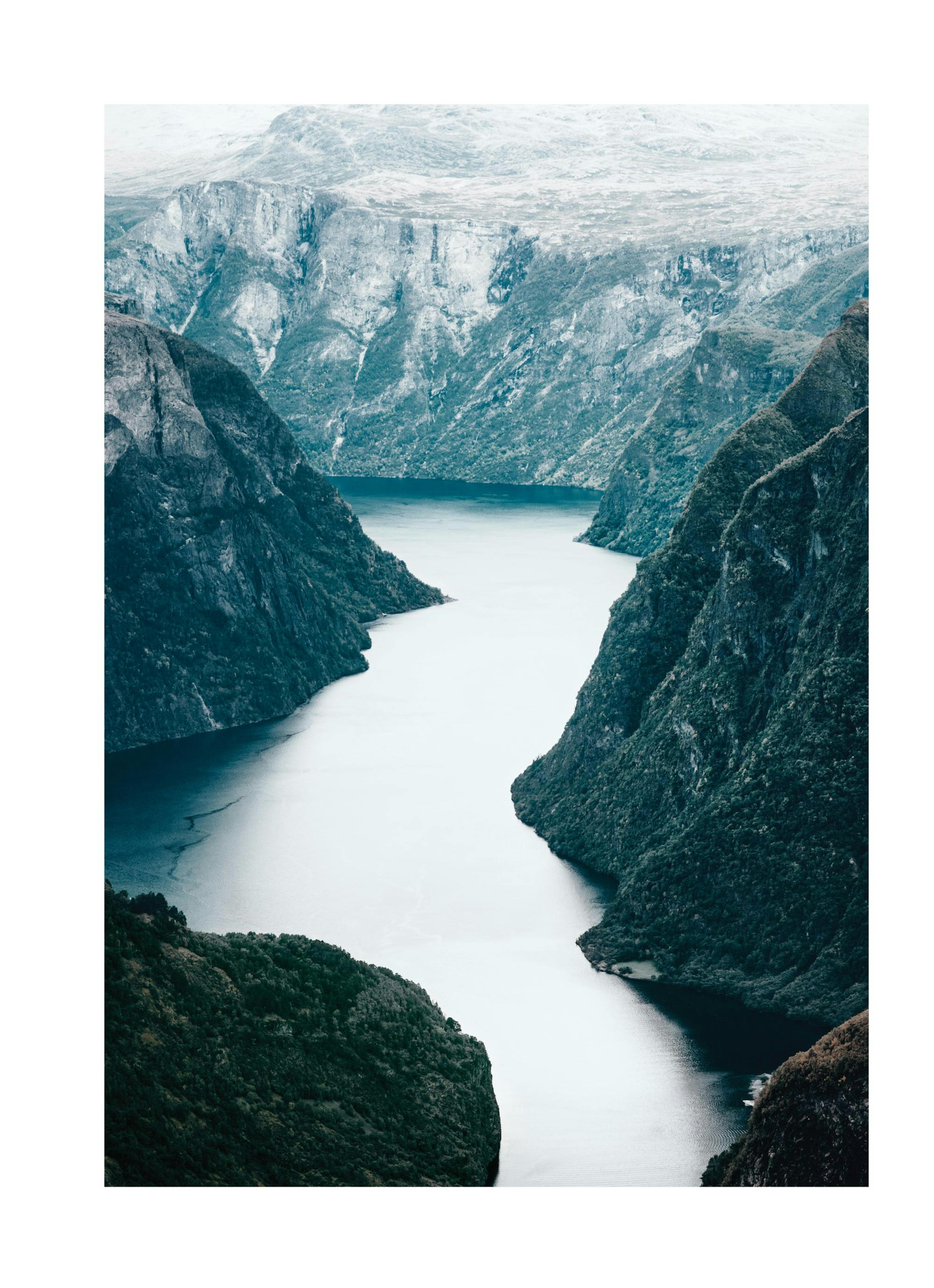 Scandinavian Wild Nature Poster