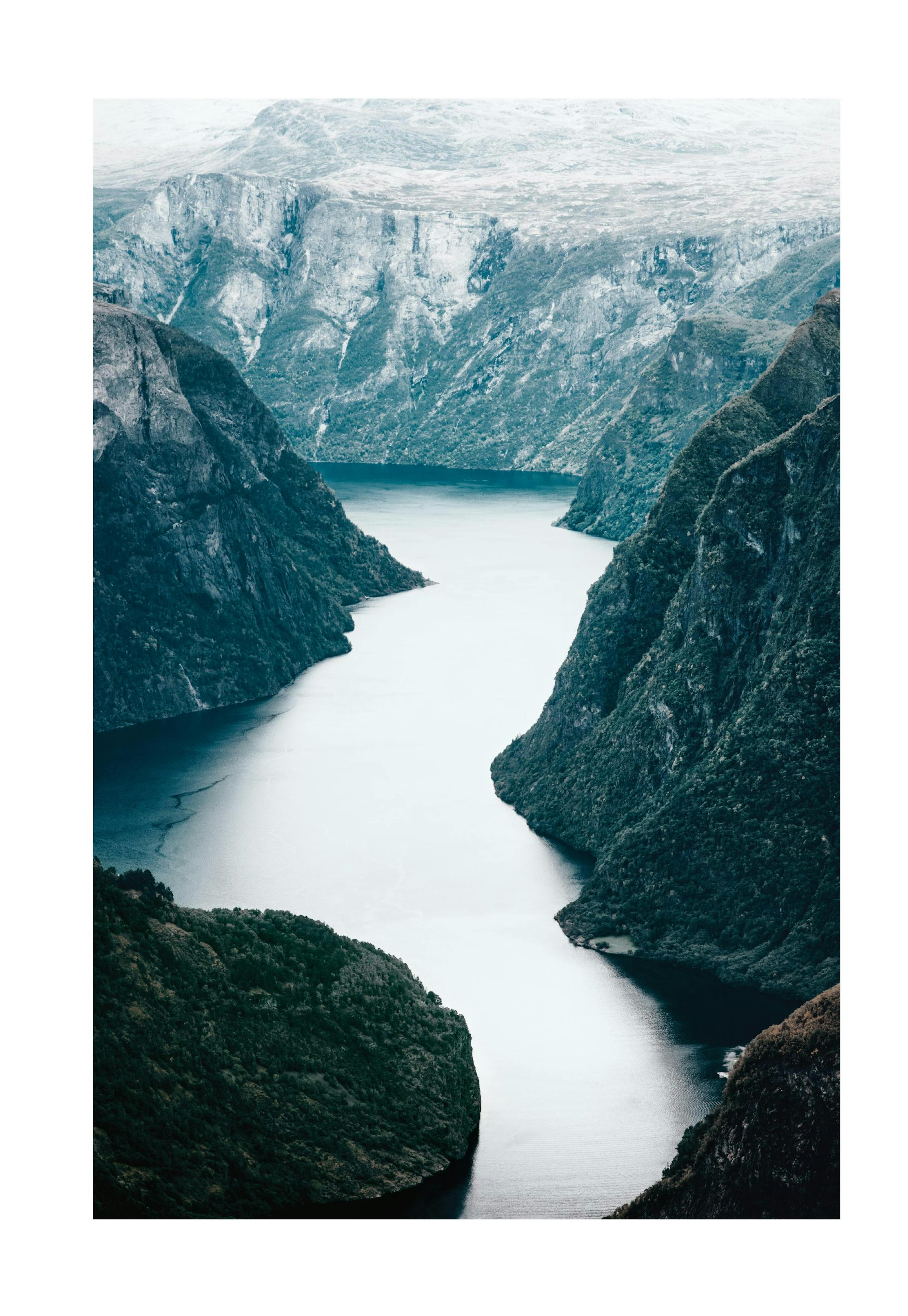 Scandinavian Wild Nature Poster 0
