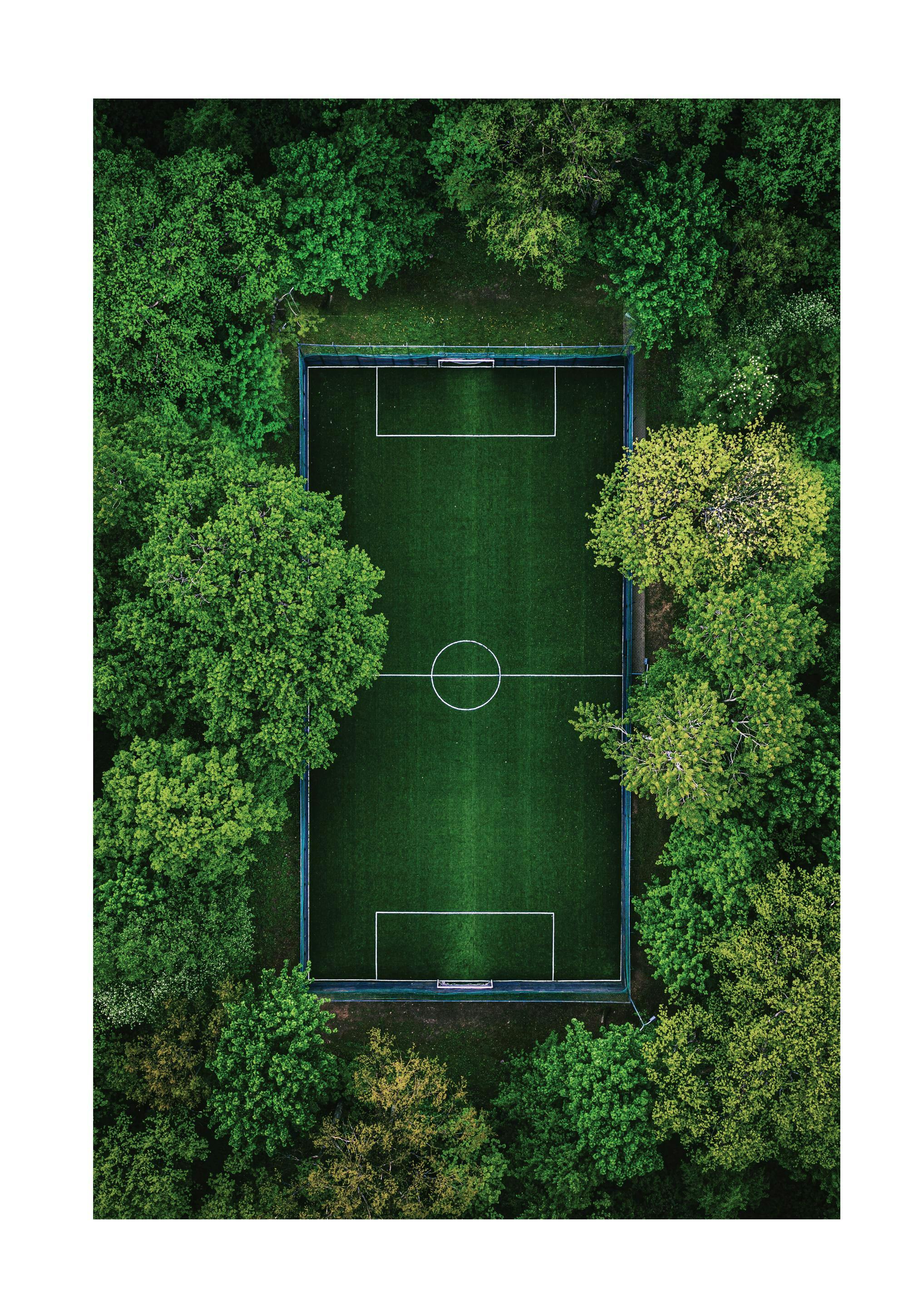 Green Soccer Pitch Poster 0