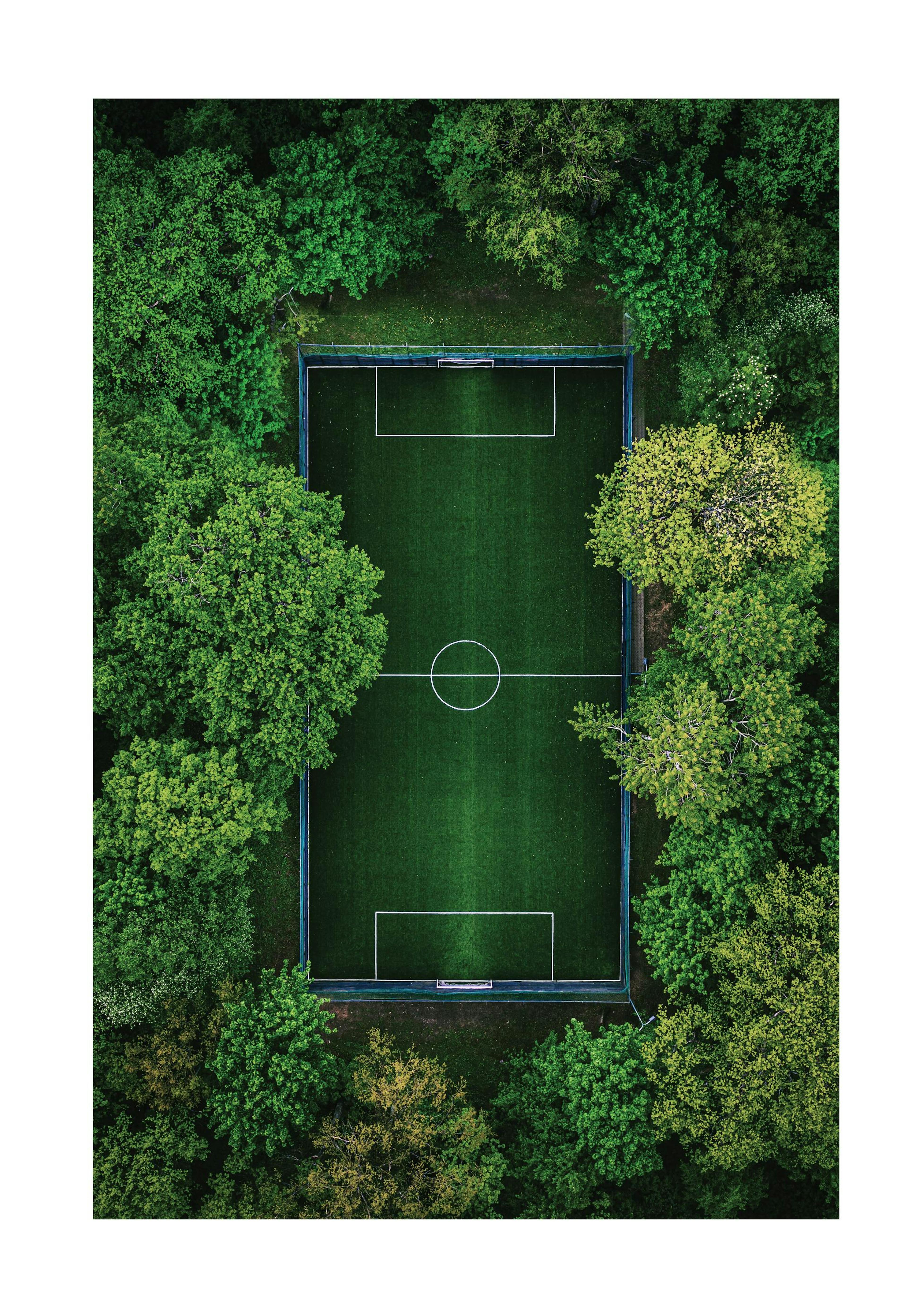 Green Soccer Pitch Poster 0
