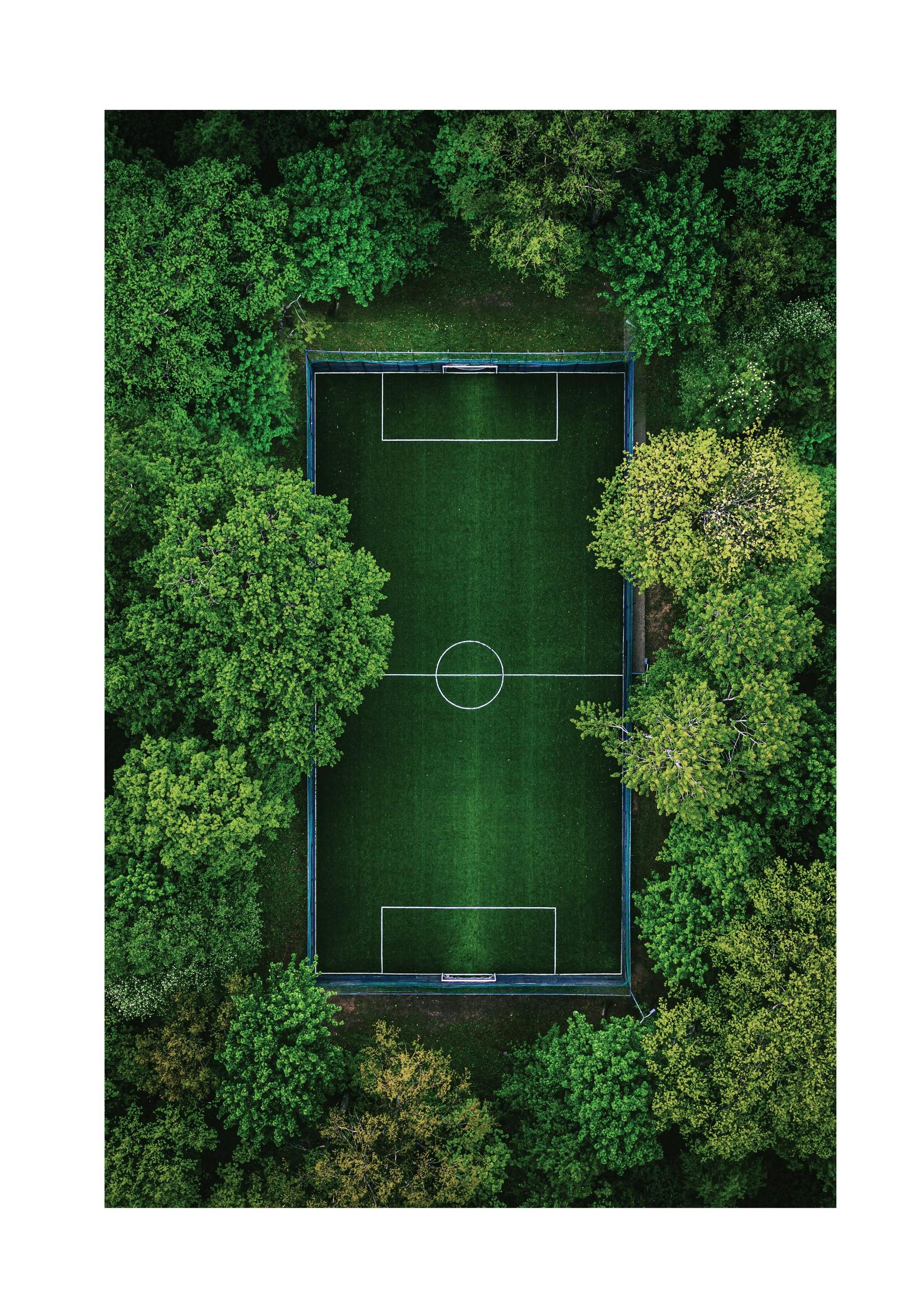 Green Soccer Pitch Plakat (30x40 cm)- Fotografia