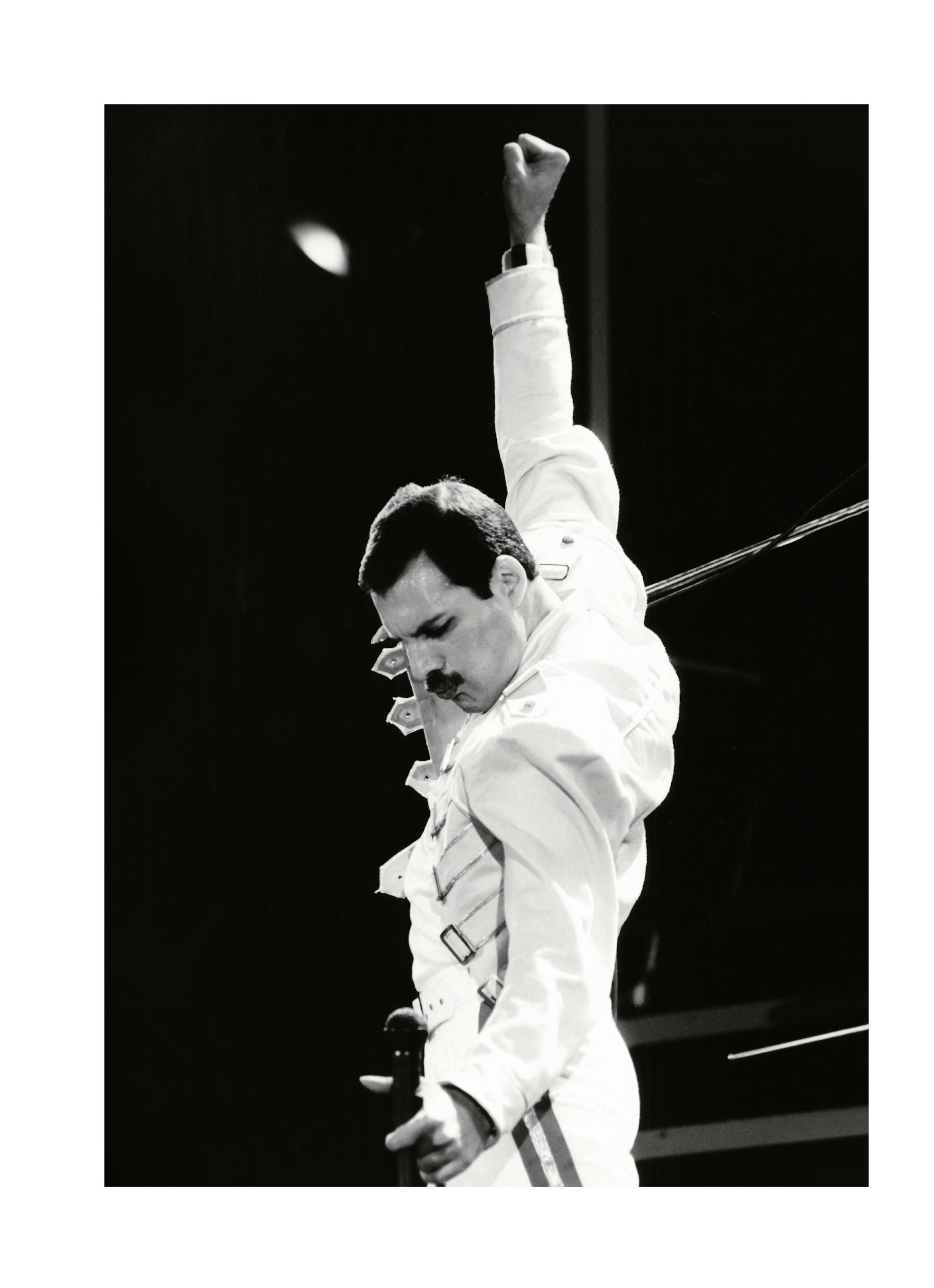 Freddie Mercury Print 0