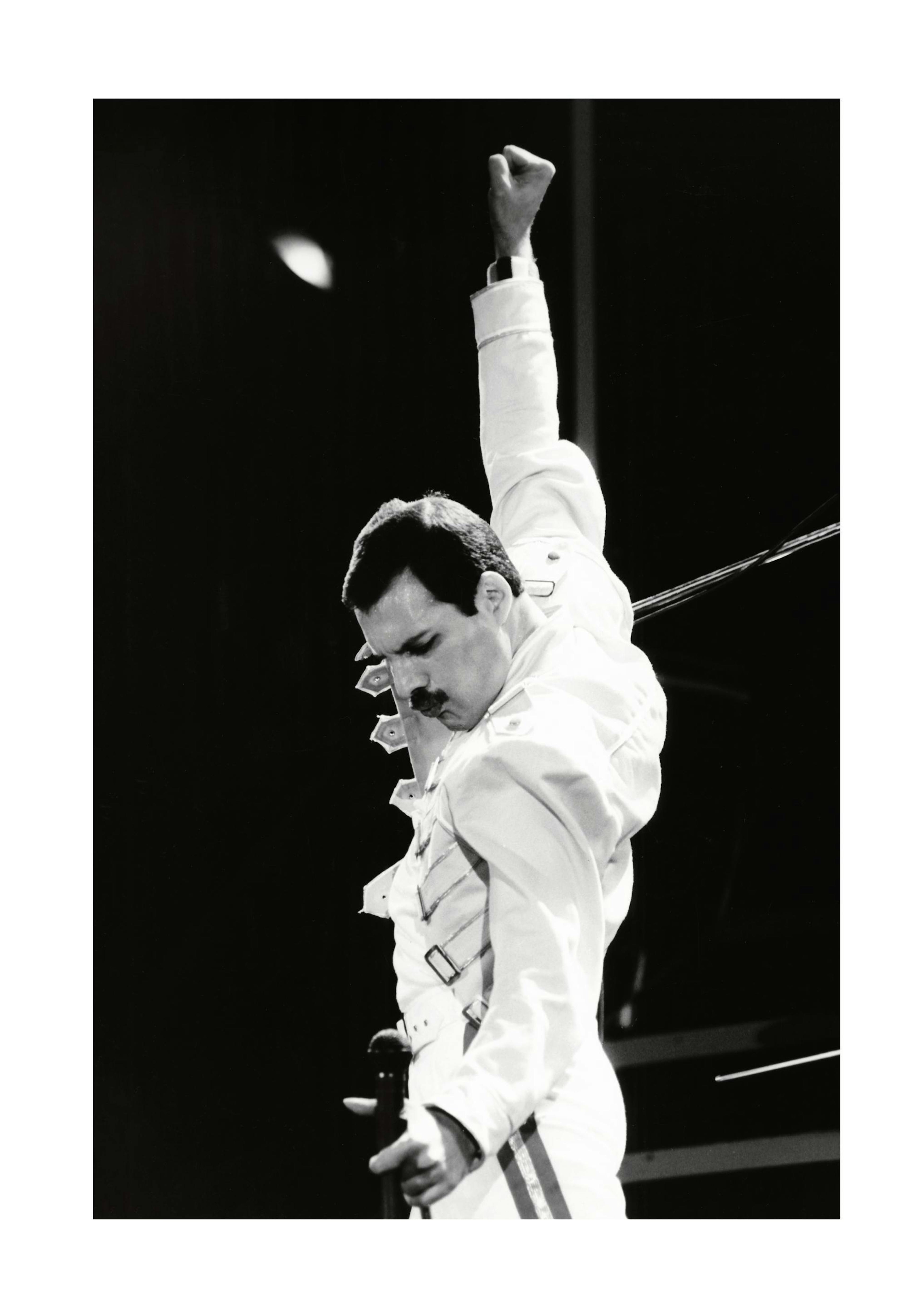 Freddie Mercury Print 0