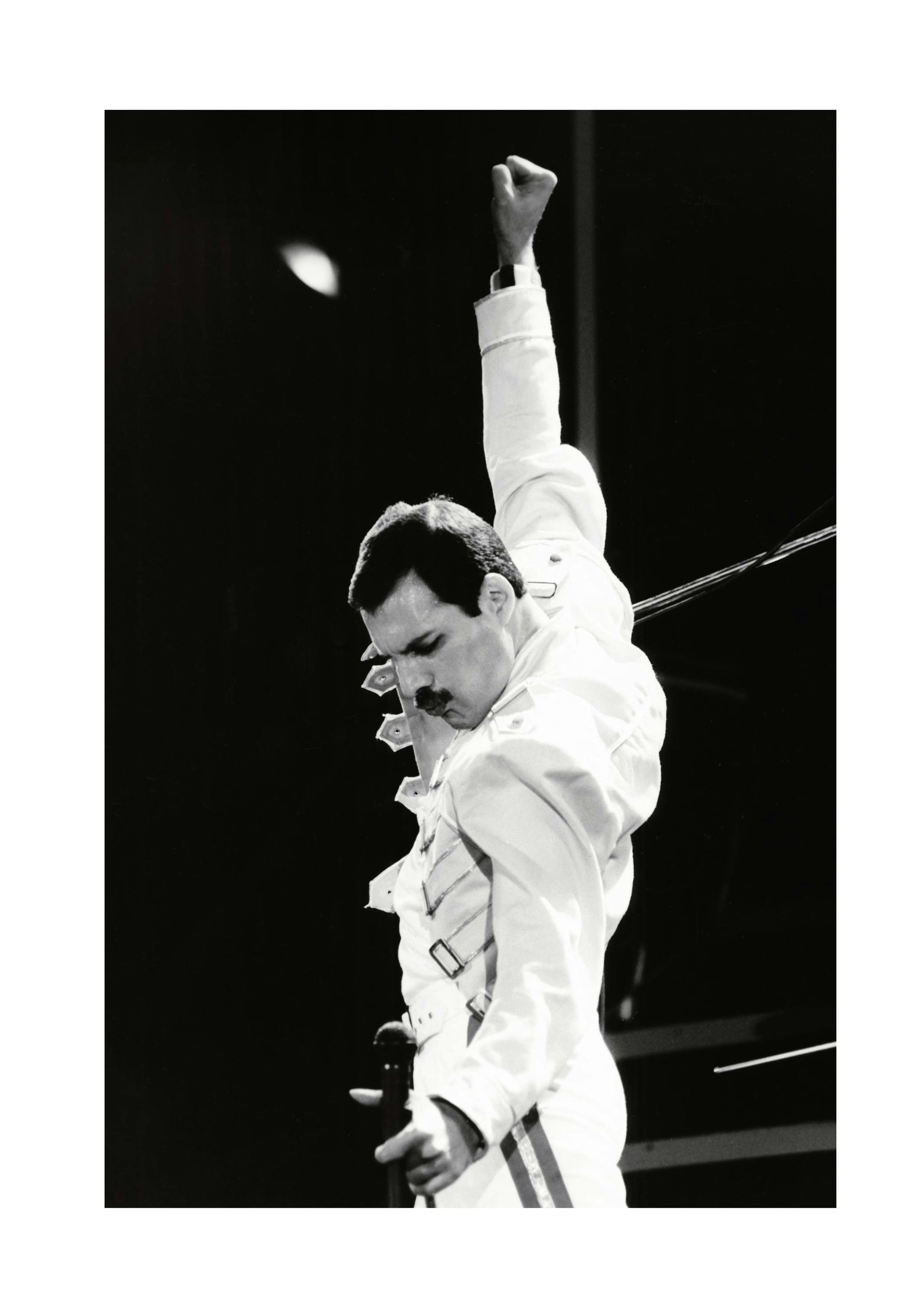 Freddie Mercury Poster (13x18 cm) -  Ikonische Fotografien
