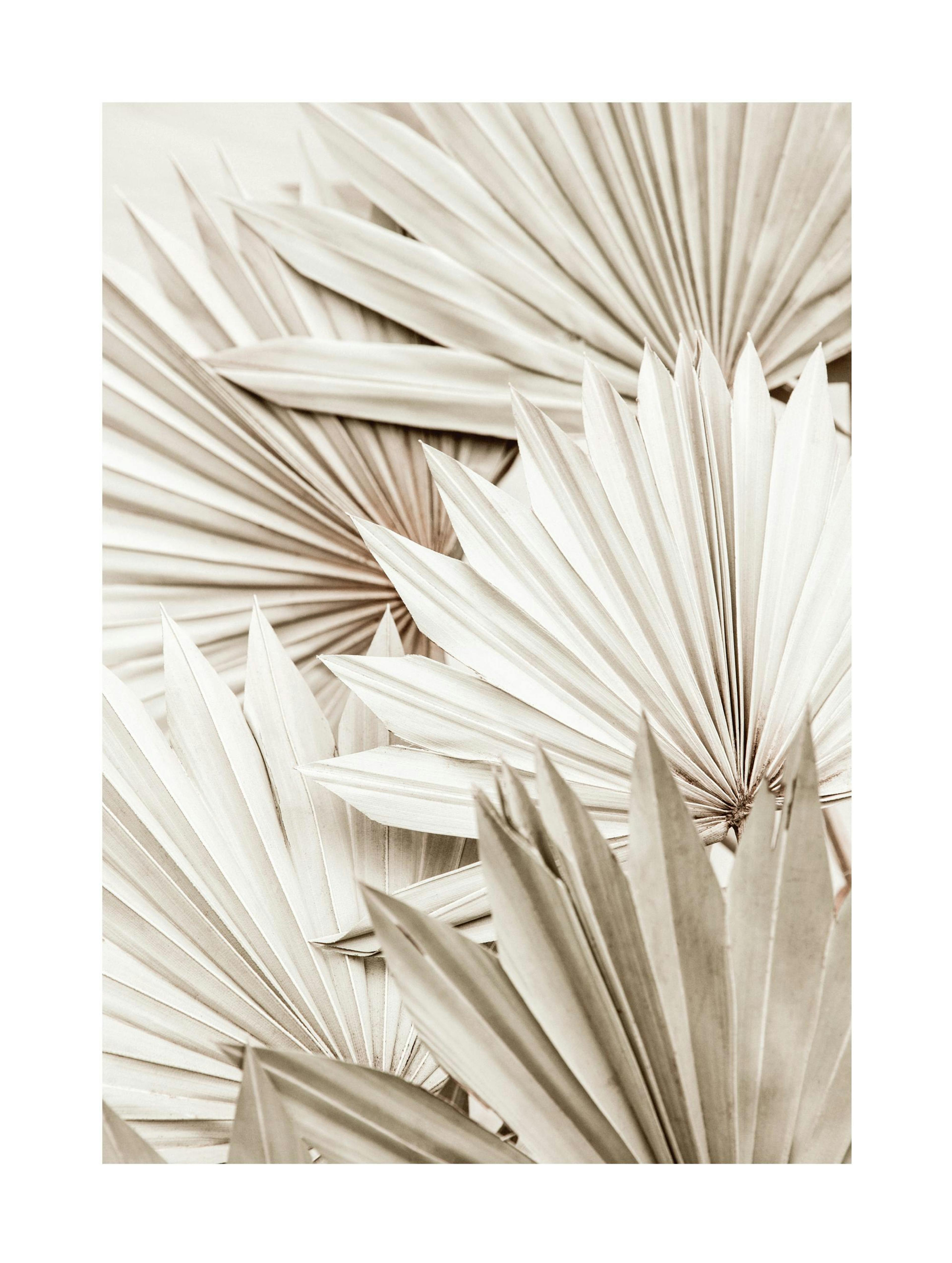 White Palm Poster 0