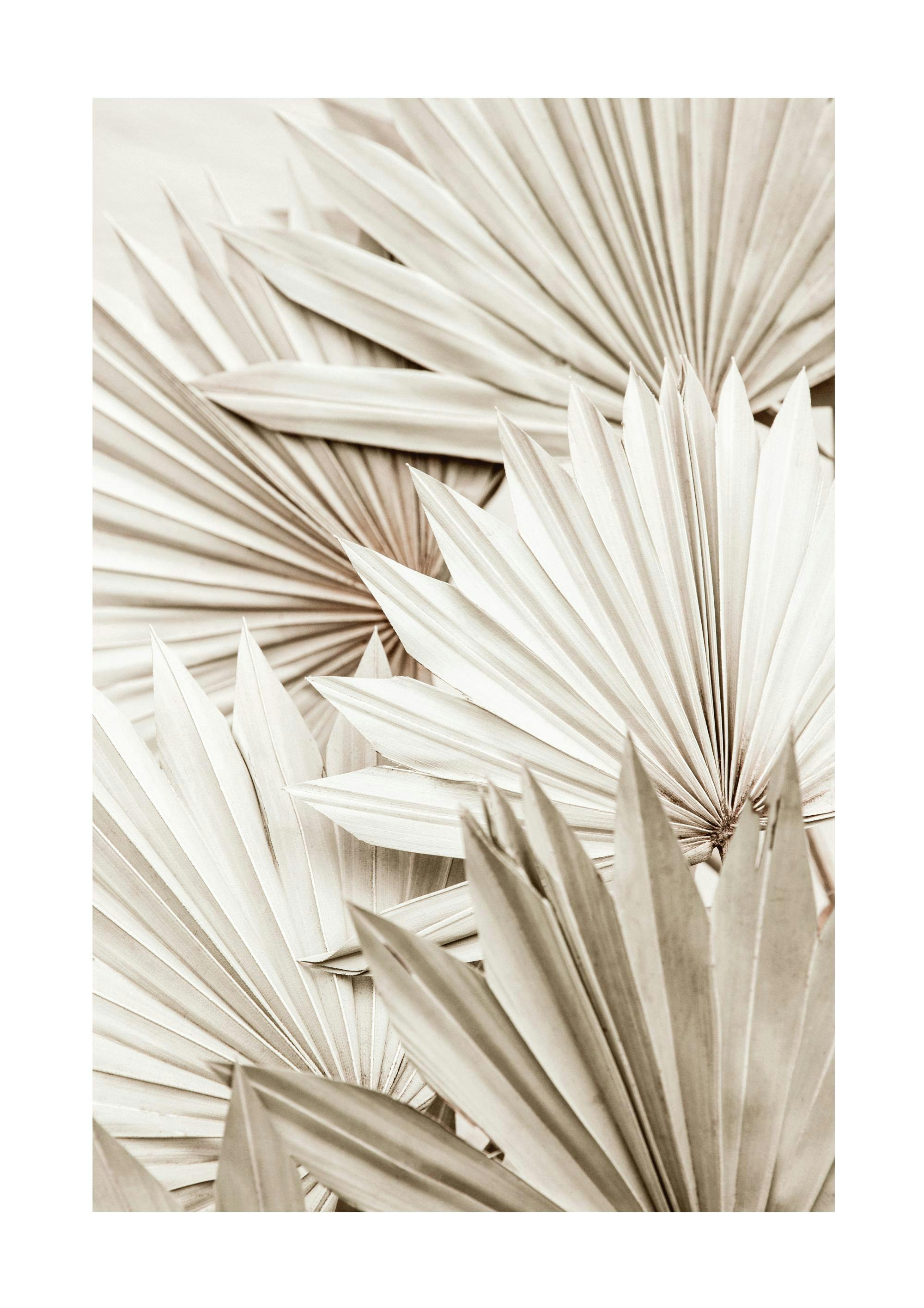 White Palm Poster 0