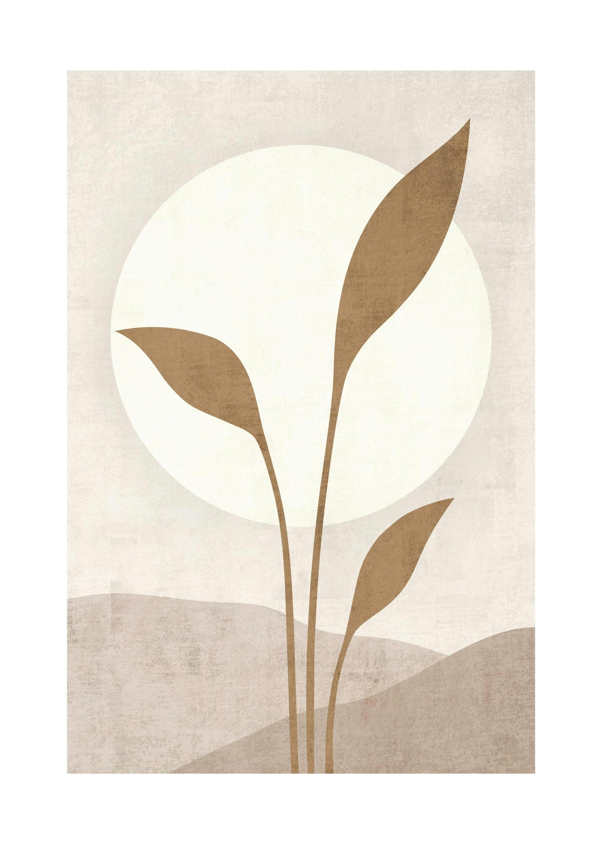 Beige Solar Plakat (50x70 cm) - Plakater > Botaniske plakater