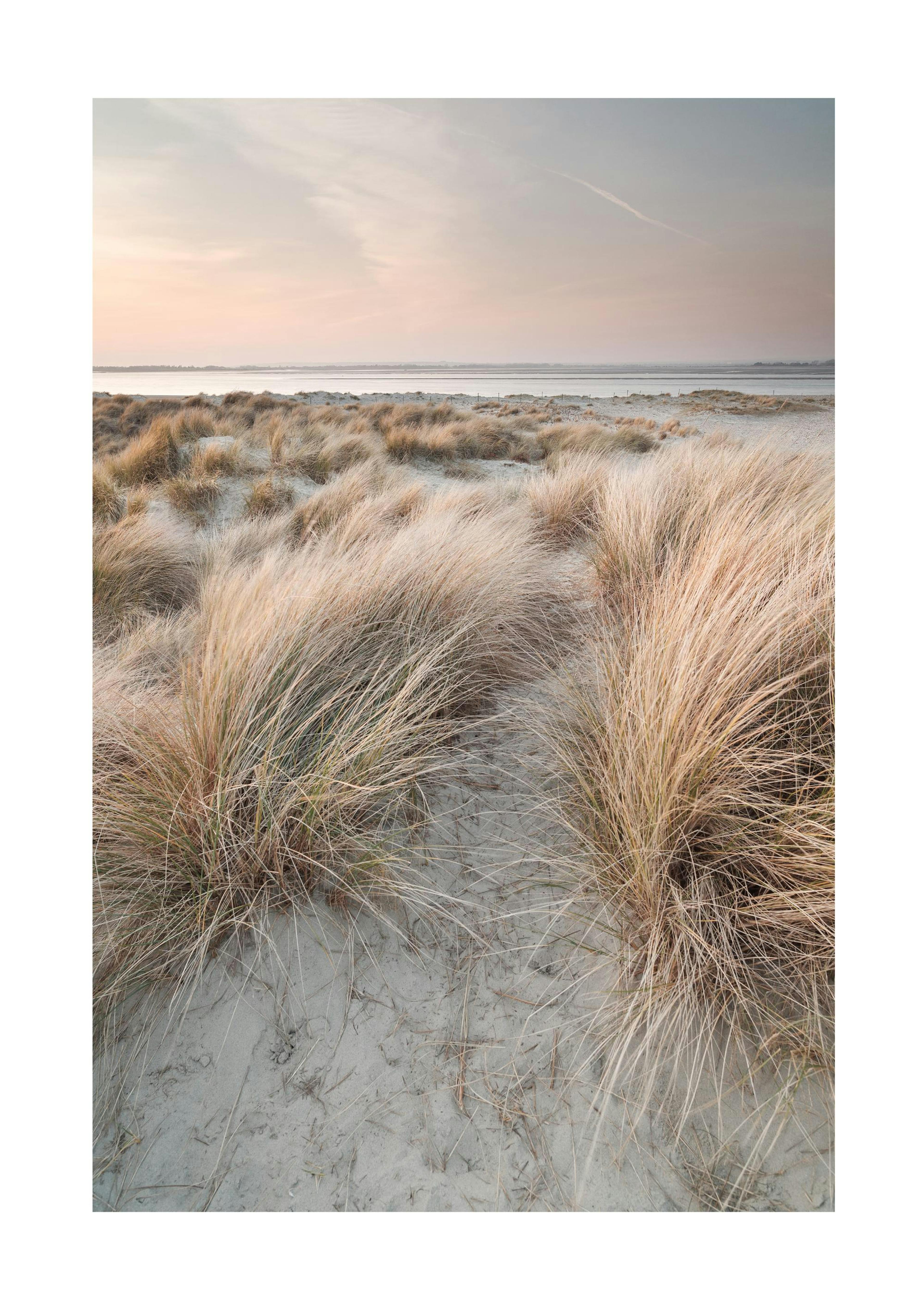 Calm Sand Dunes Plakat 0