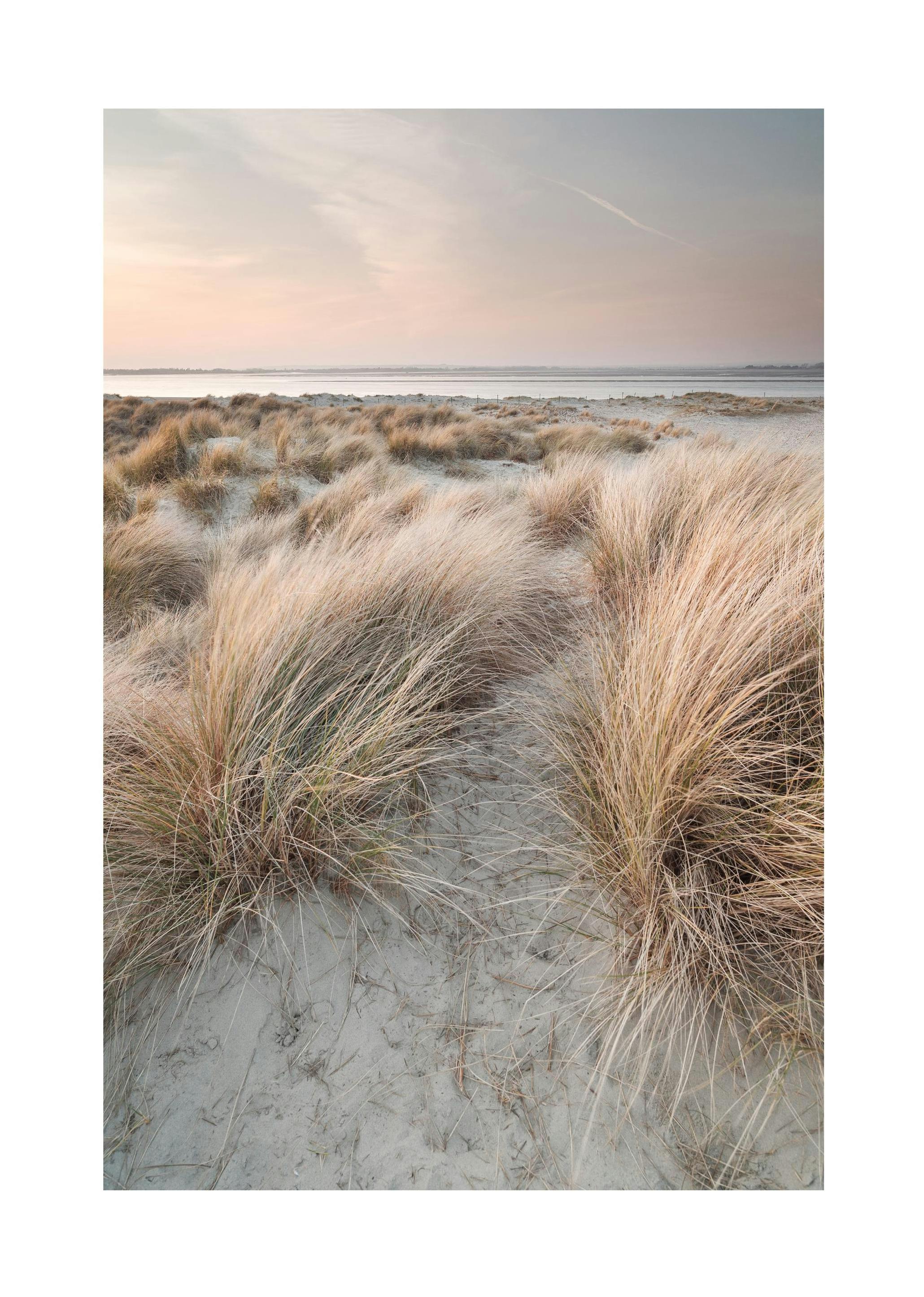Prints - Calm Sand Dunes Print (50x70 cm) - Nature prints