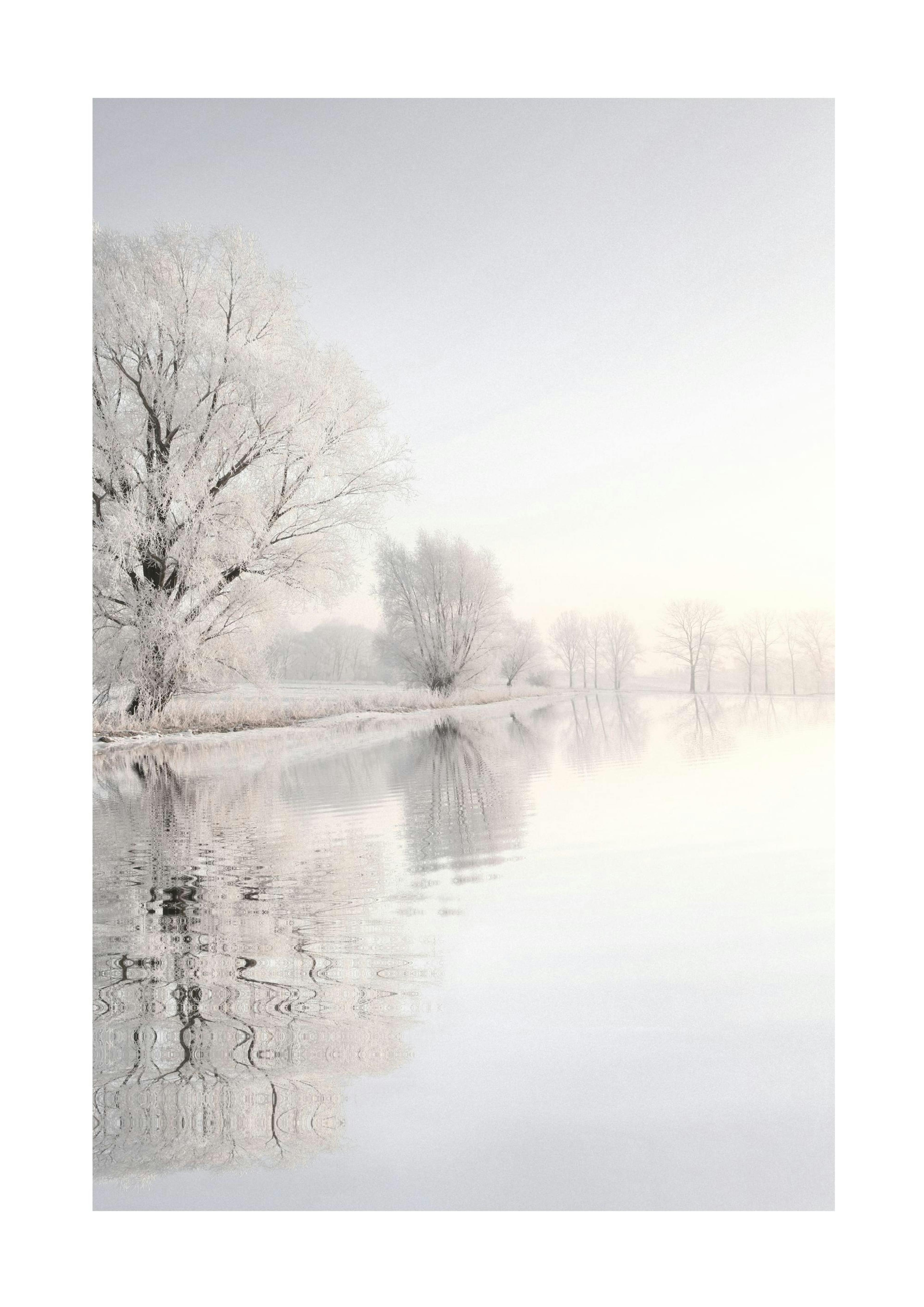 Crispy Wonderland Plakat 0