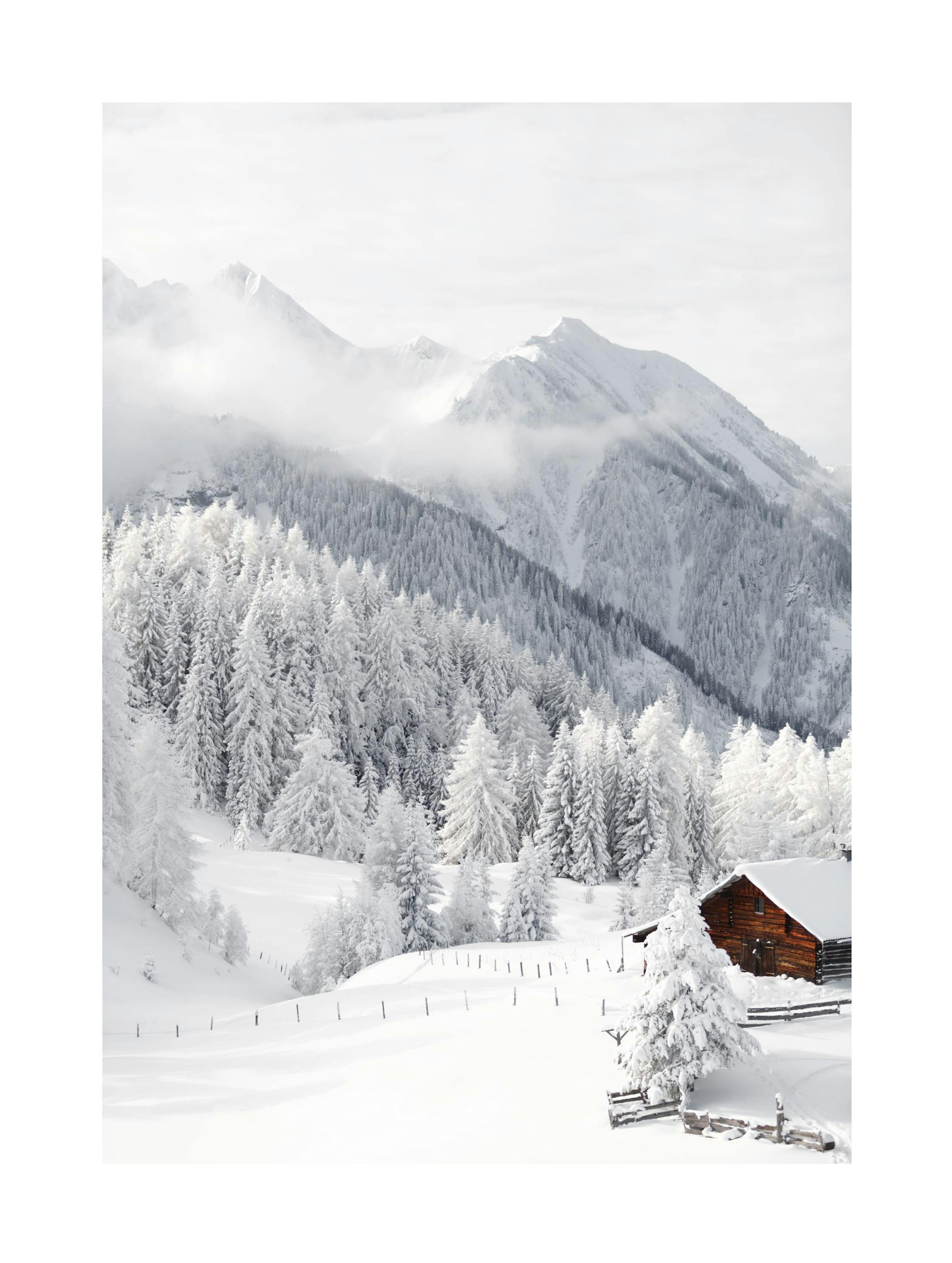 Snowy Landscape Print