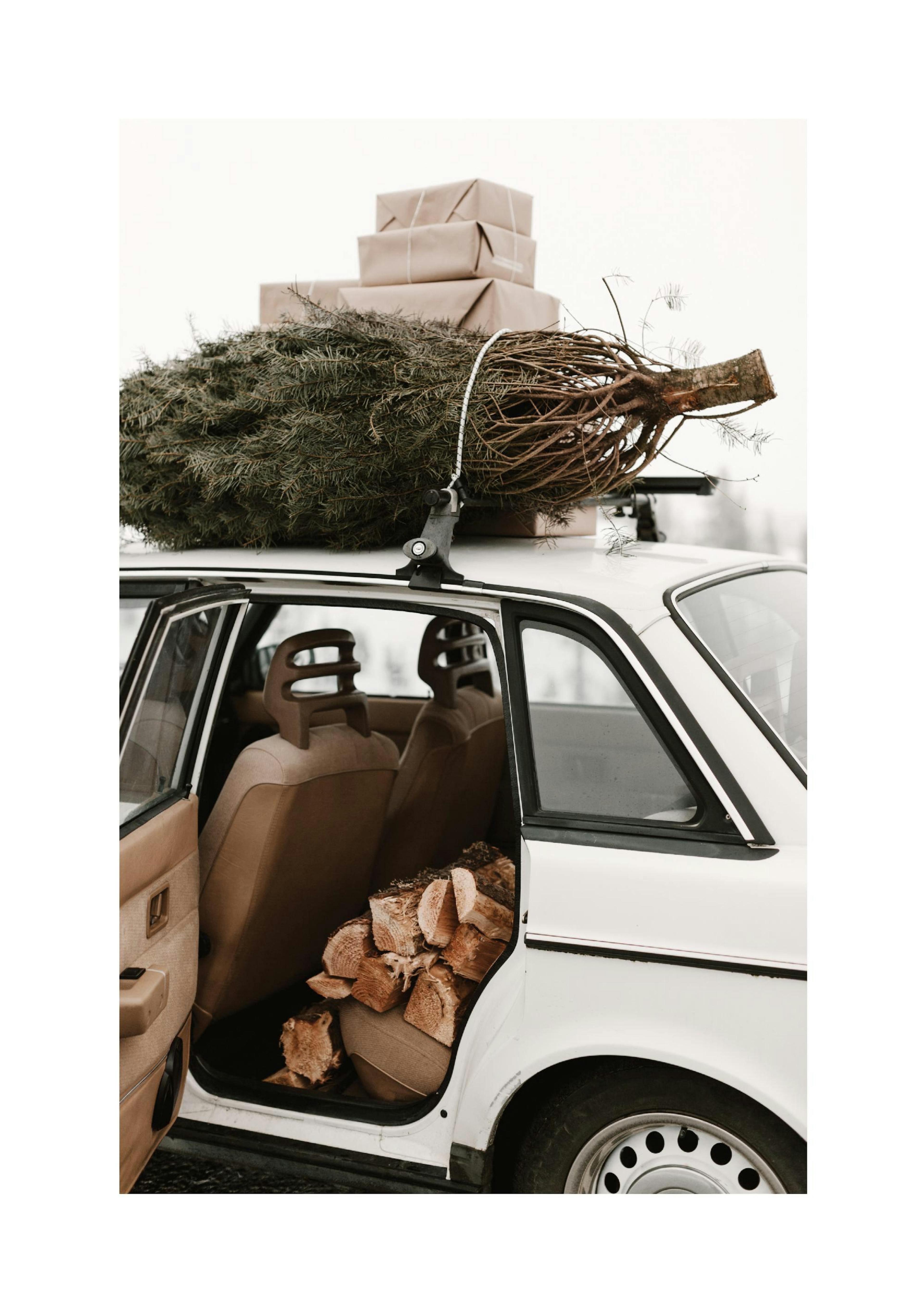 Holiday Car Affiche